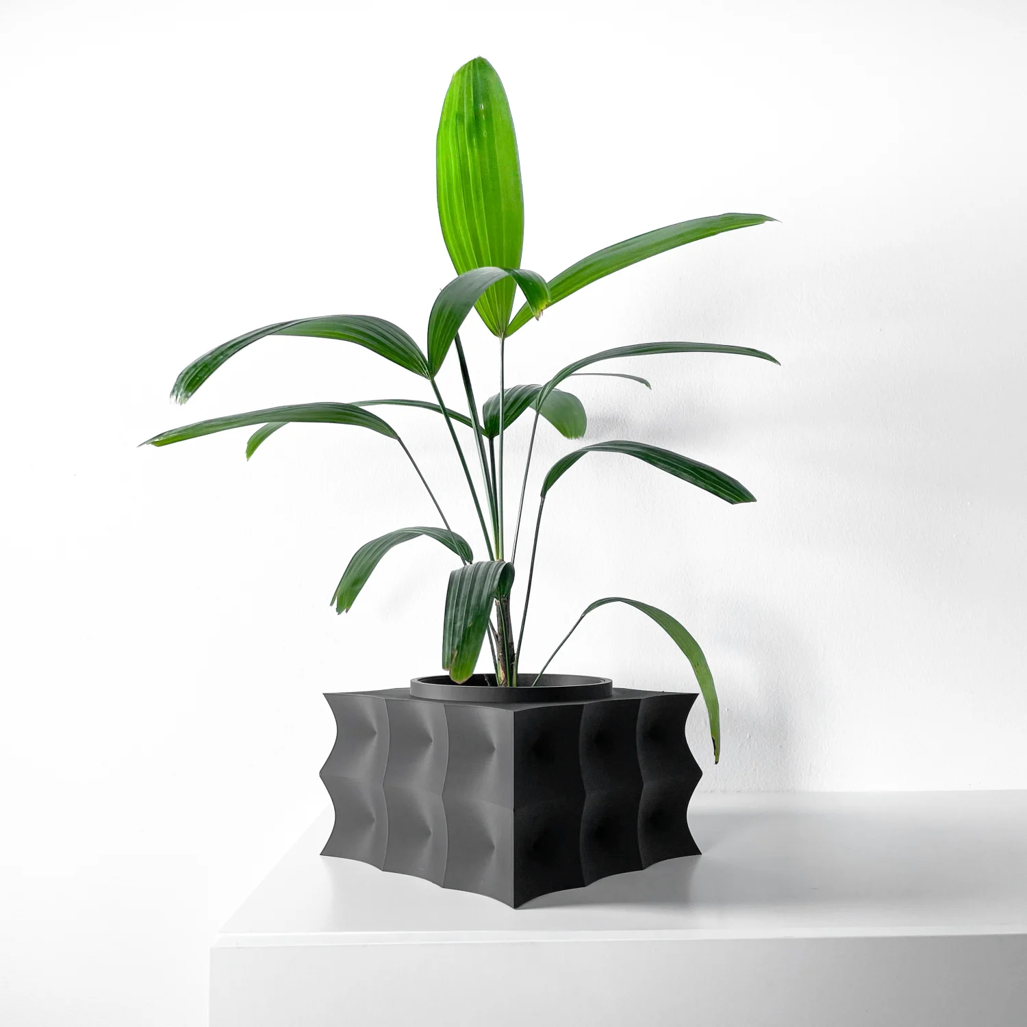 The Aaro  Pot - Image 4