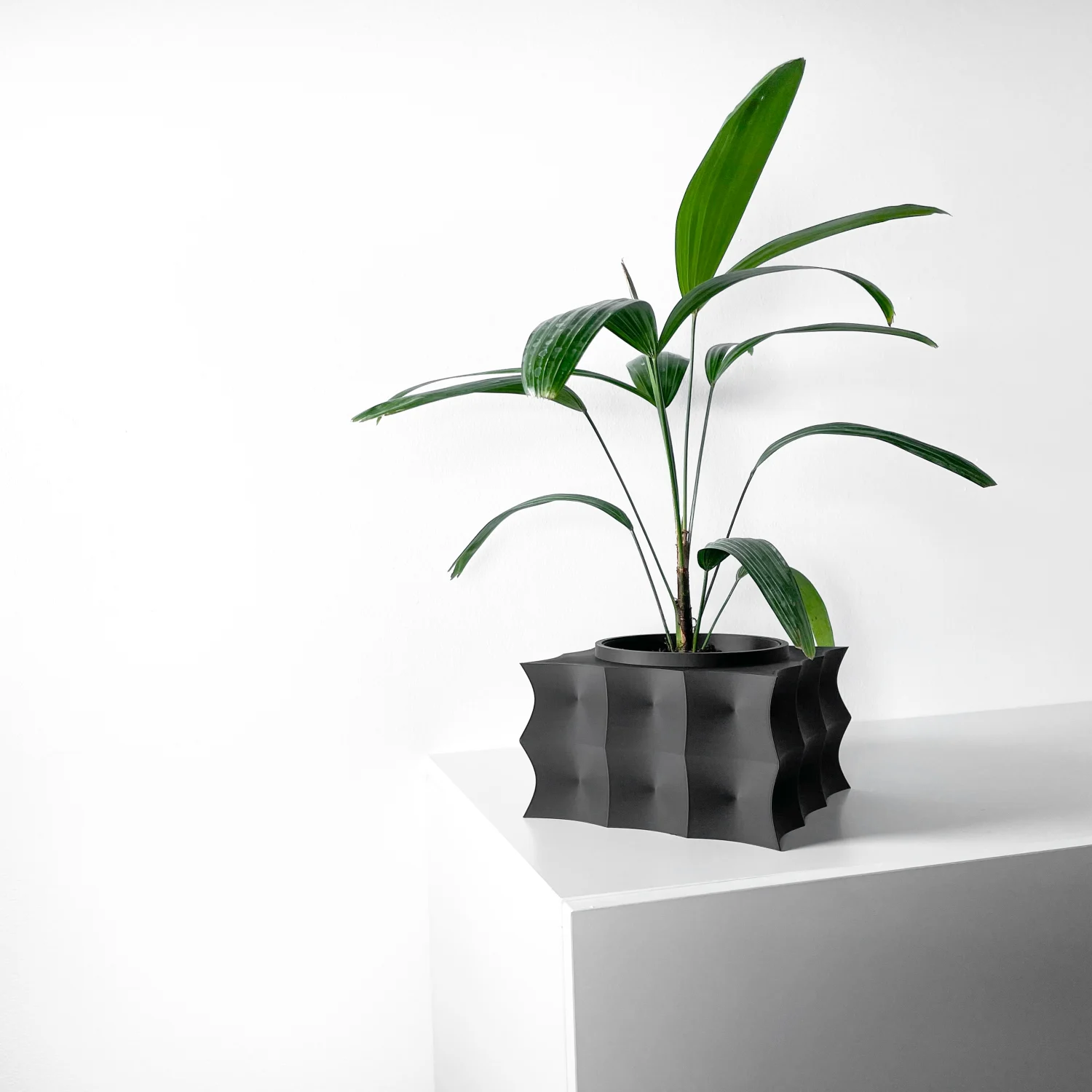 The Aaro  Pot - Image 3