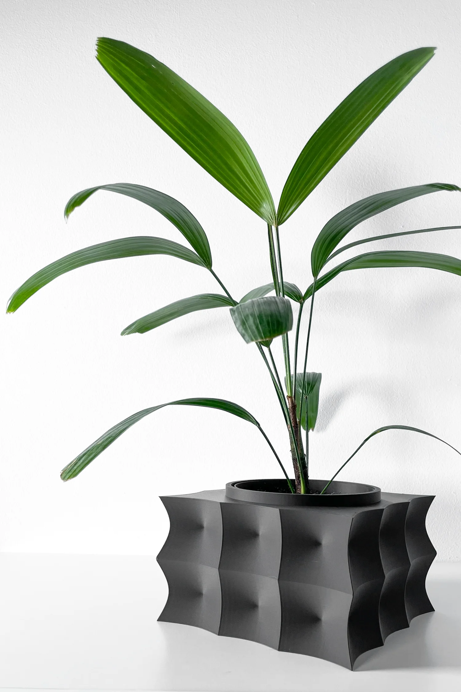 The Aaro  Pot - Image 8
