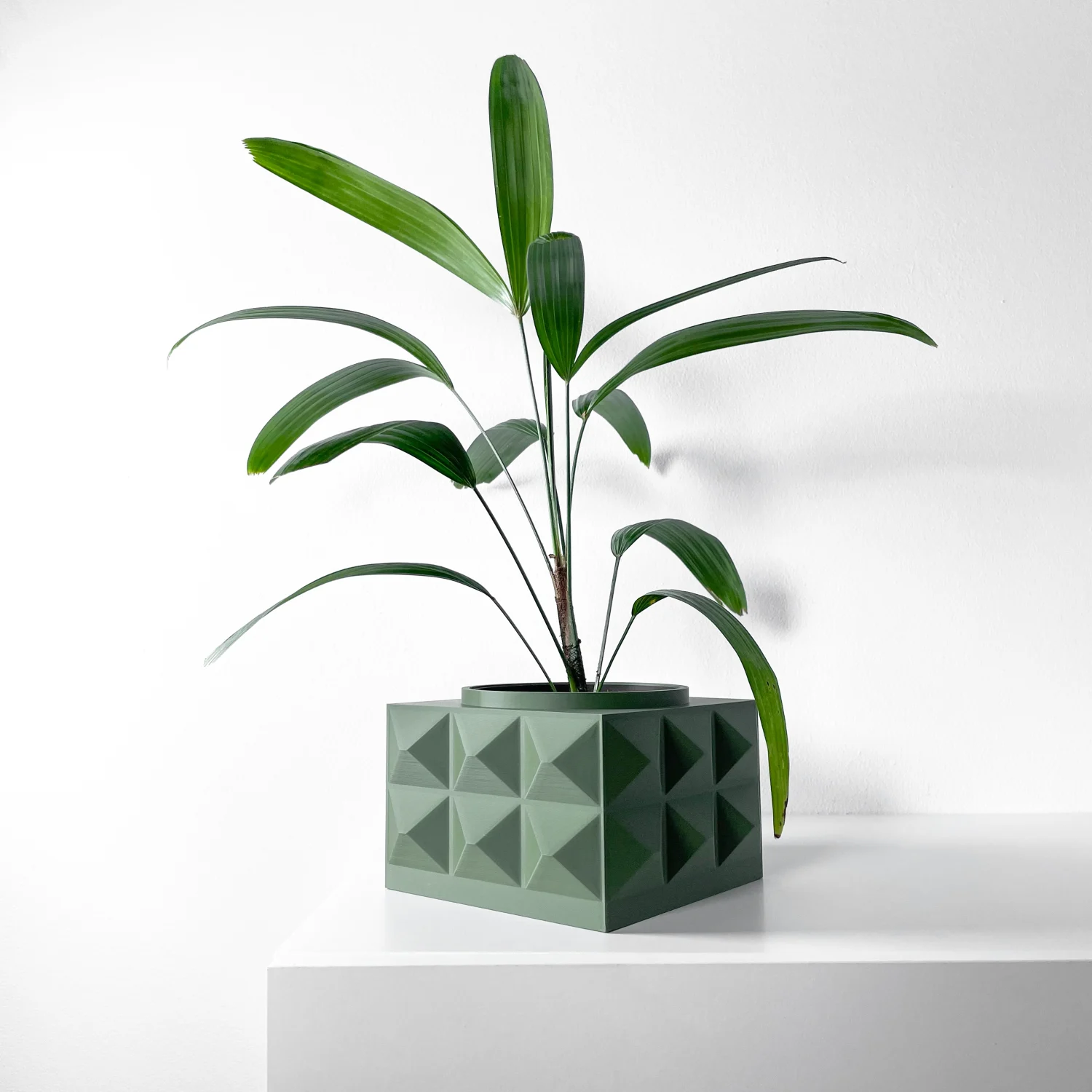 The Acorn  Pot