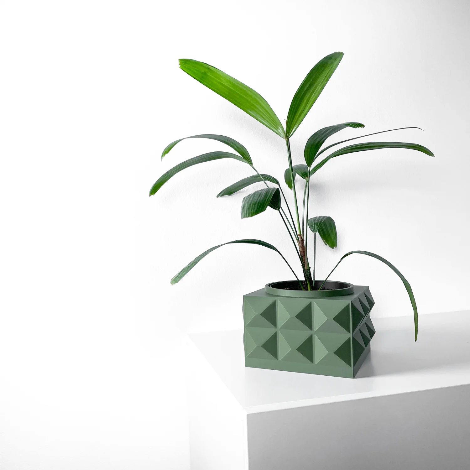 The Acorn Pot - Image 2