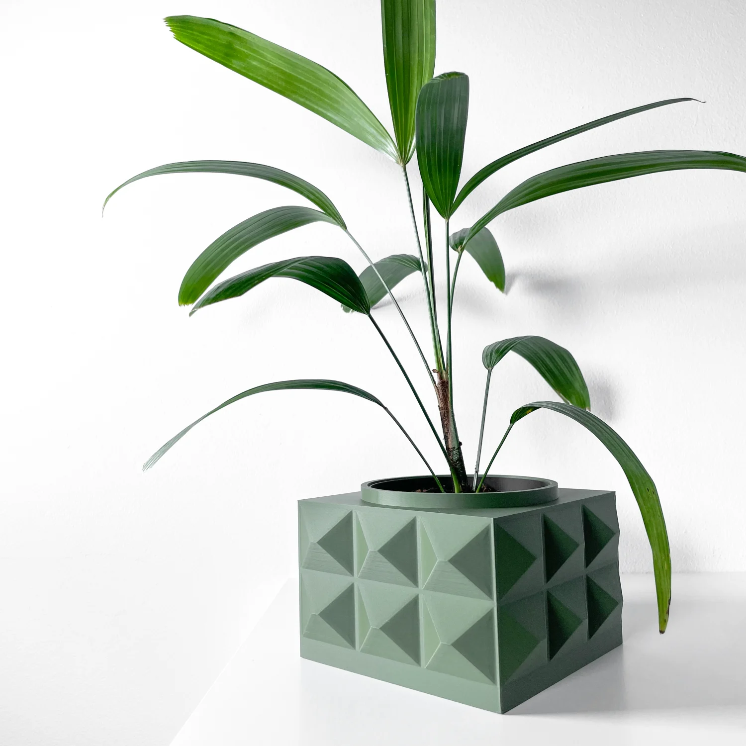 The Acorn Pot - Image 4