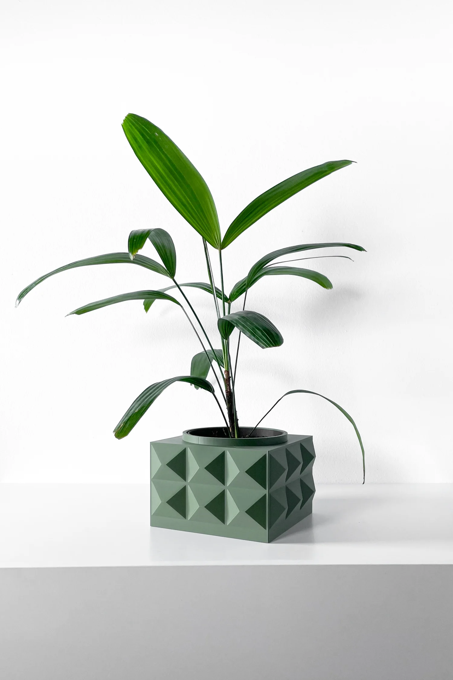 The Acorn Pot - Image 3