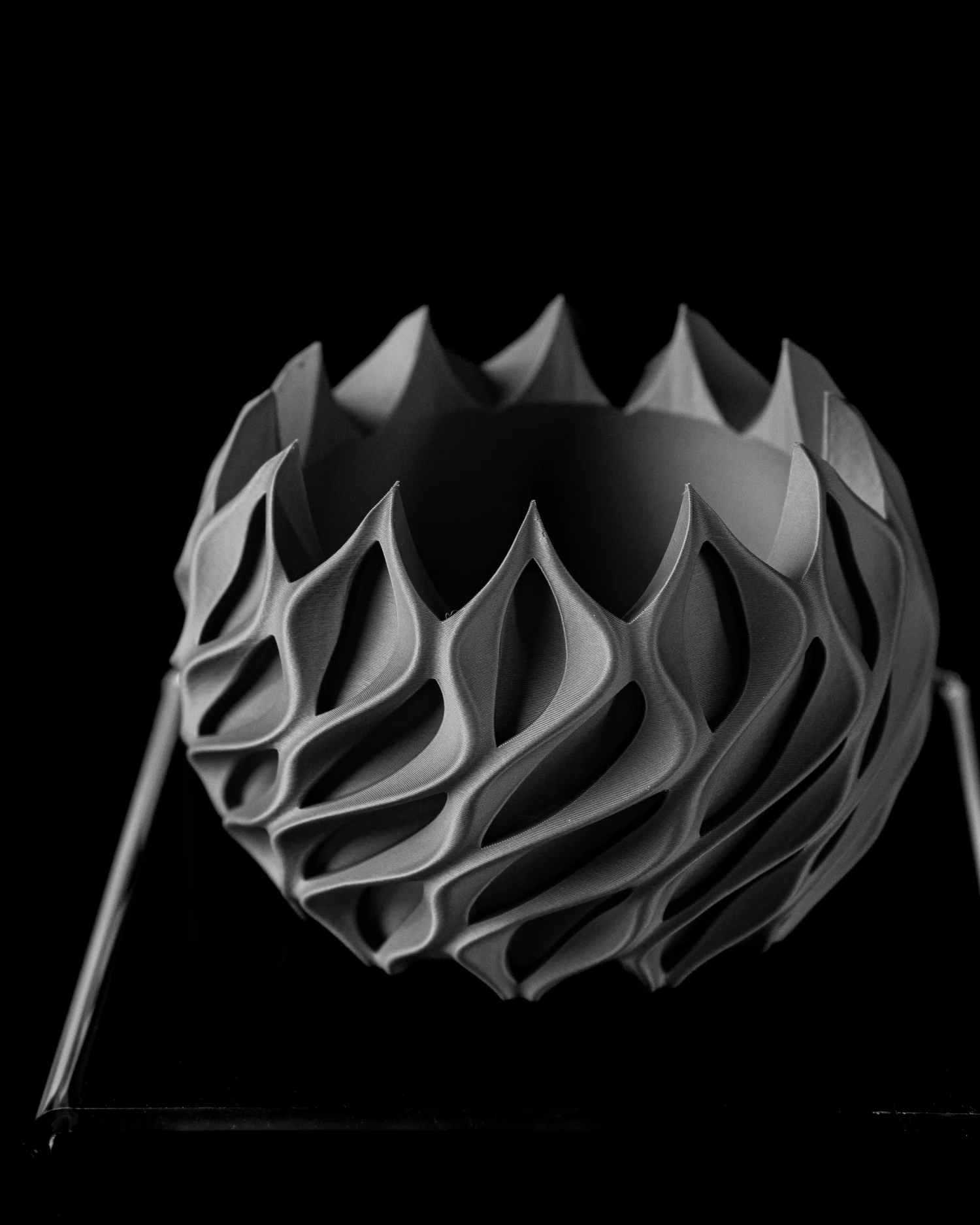 The Amaranth Pot - Image 4