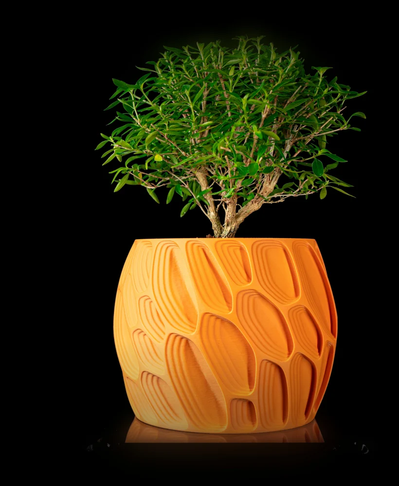 The Amari Pot - Image 5