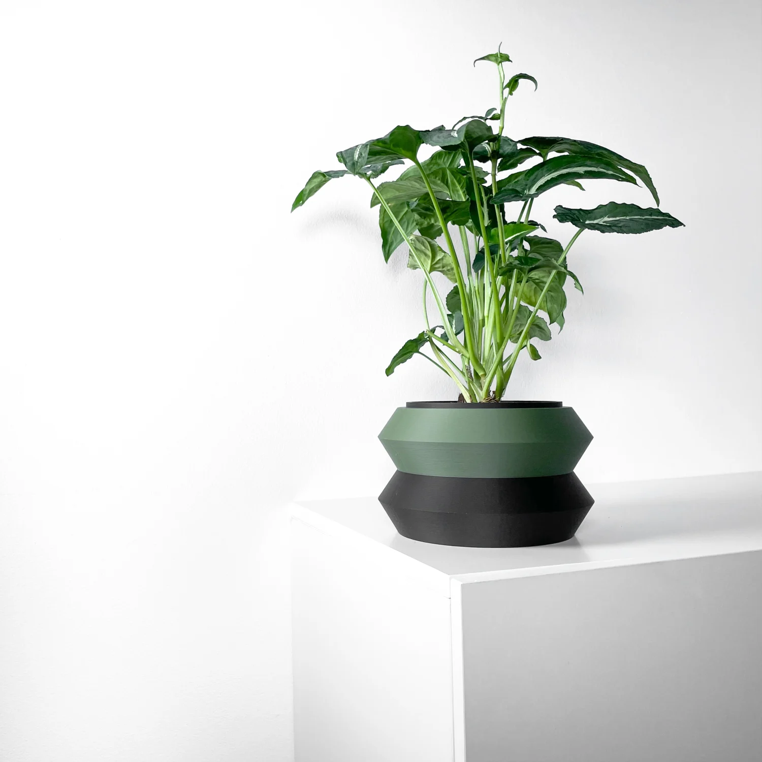 The Arbor  Pot - Image 4