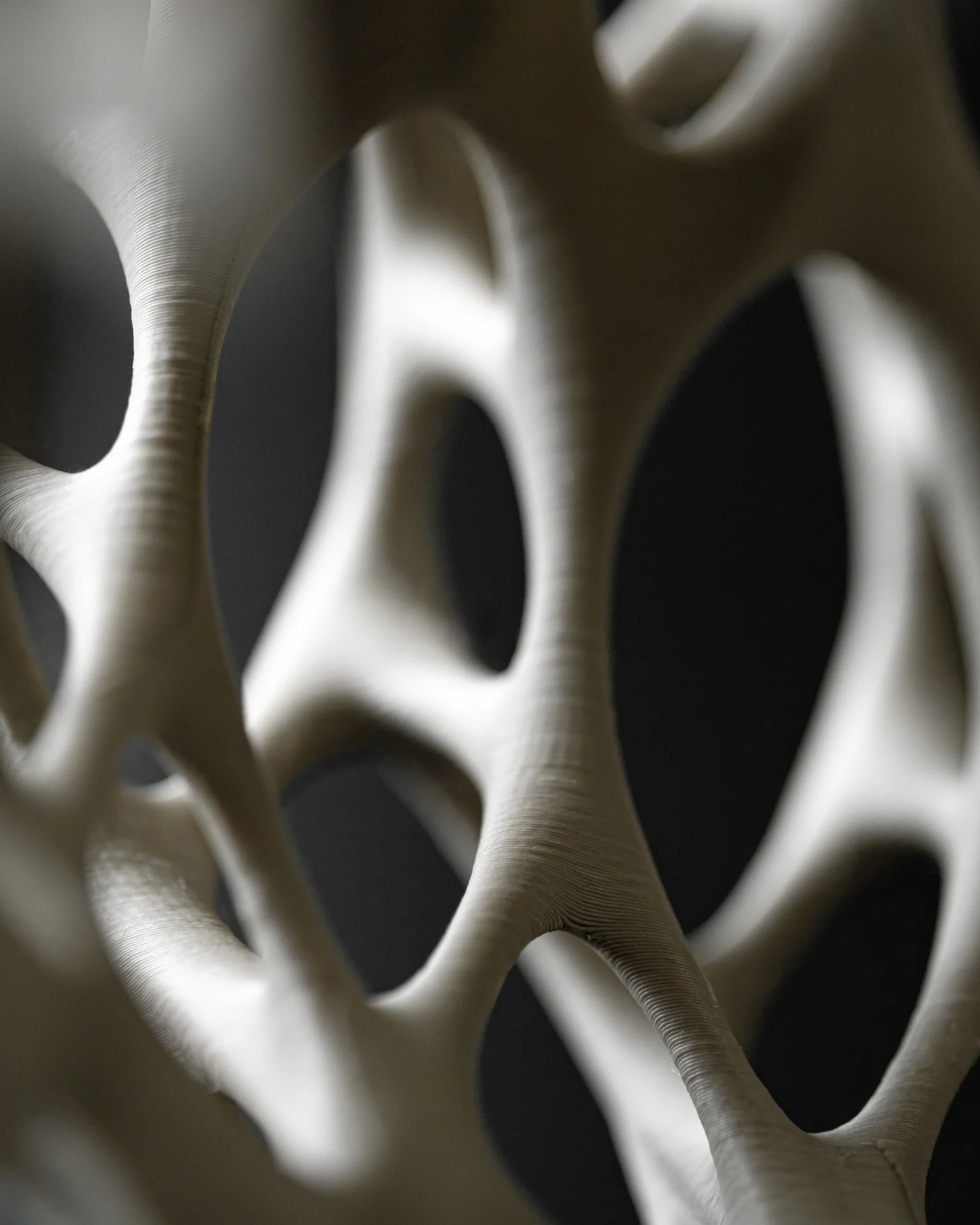 The Aurelia Vase - Image 3