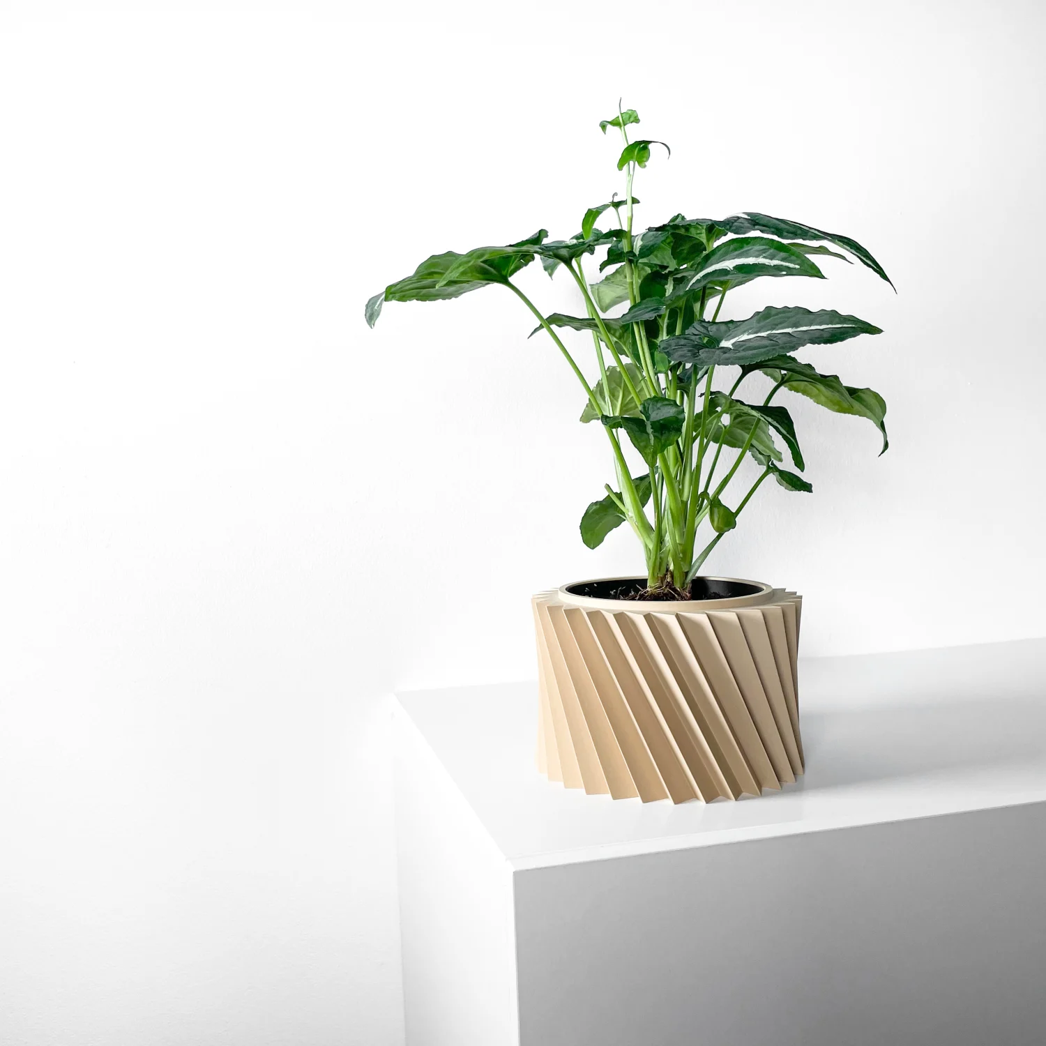 The Belvion  Pot - Image 2