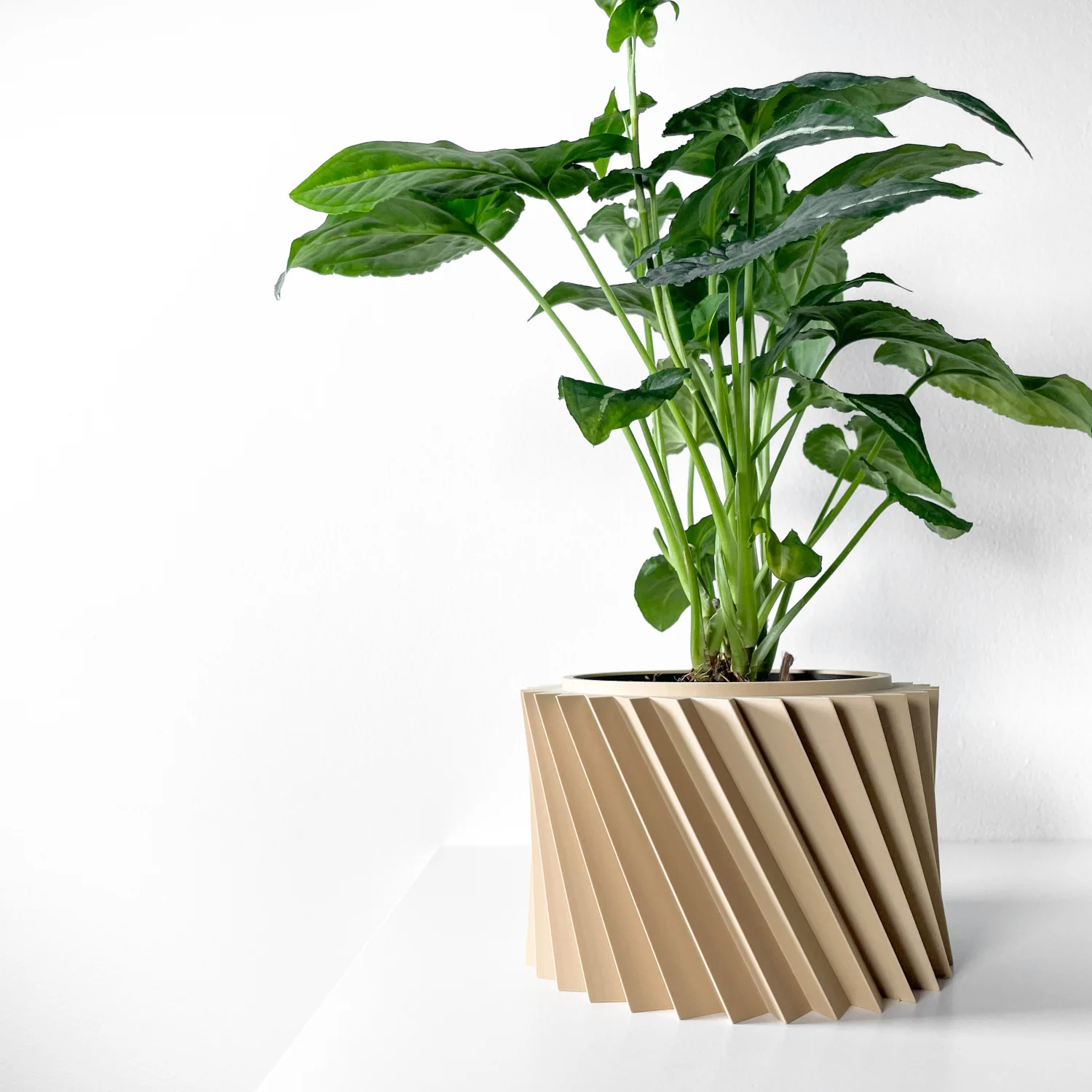 The Belvion  Pot - Image 3