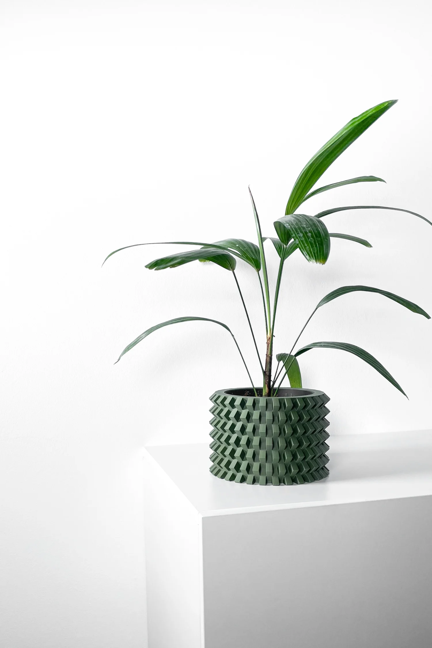 The Birk Pot - Image 3