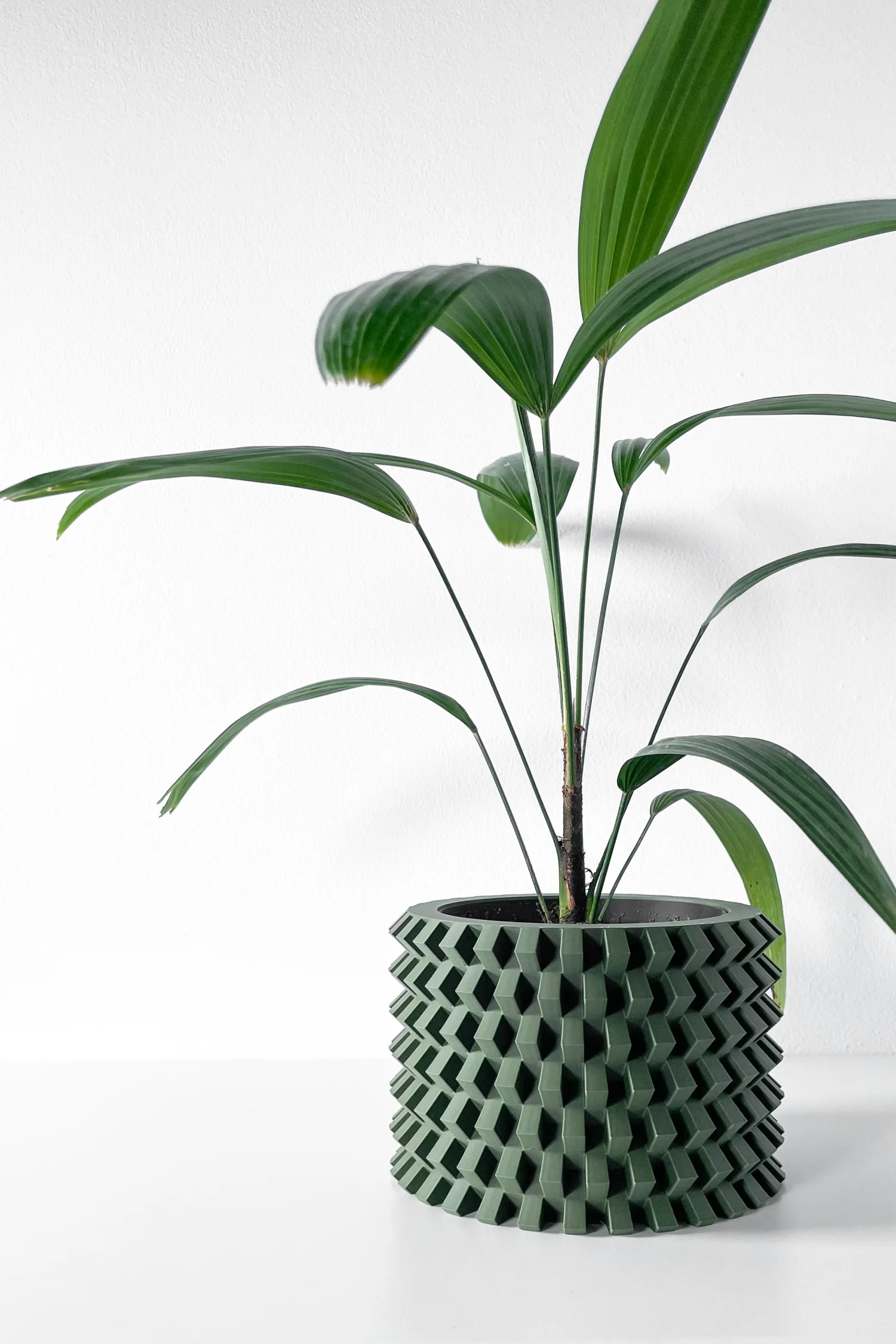 The Birk Pot - Image 7