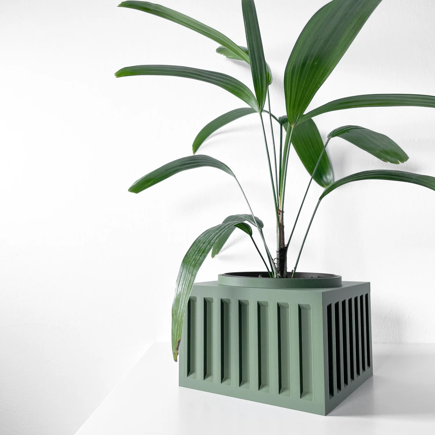 The Bria  Pot - Image 4