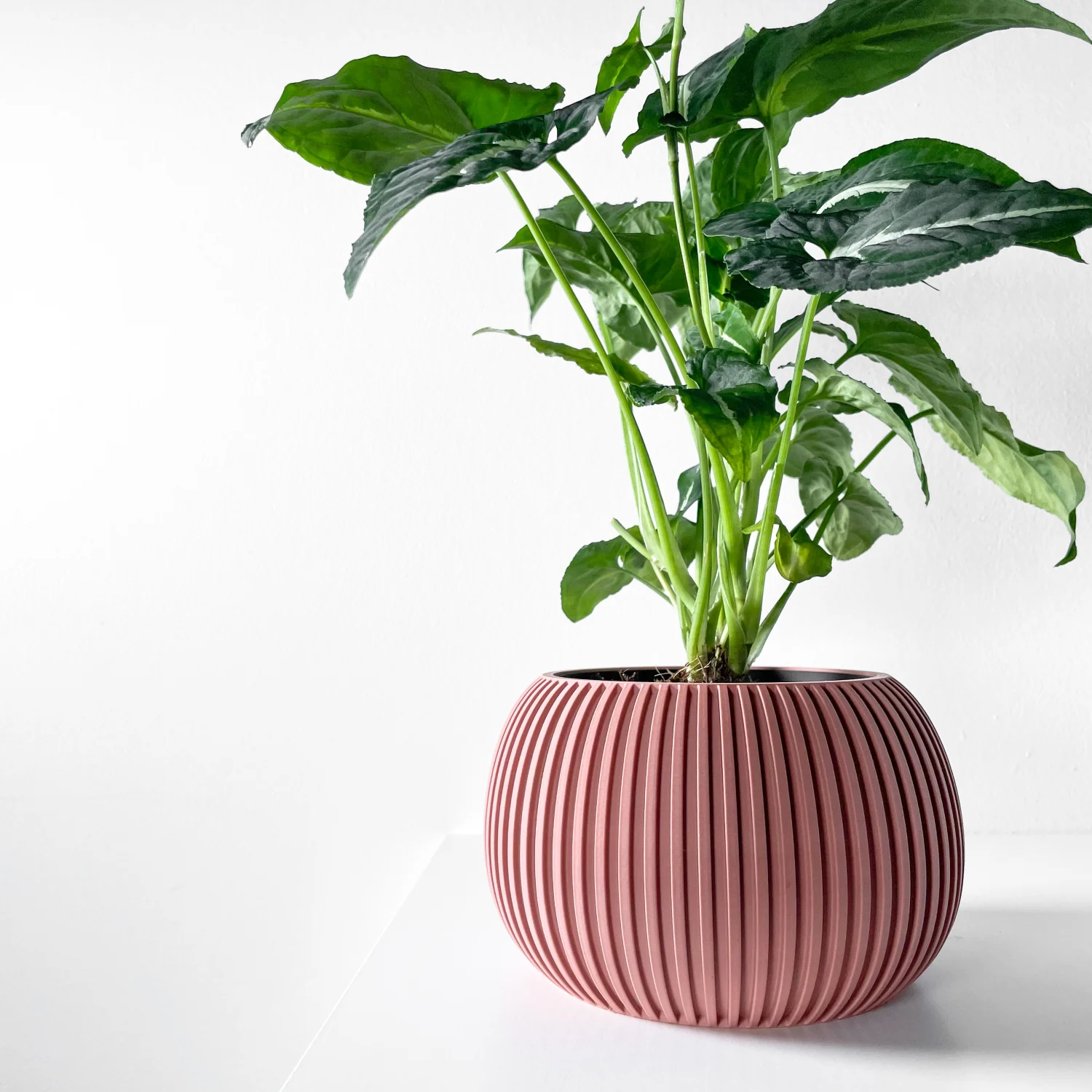 The Briar  Pot - Image 7