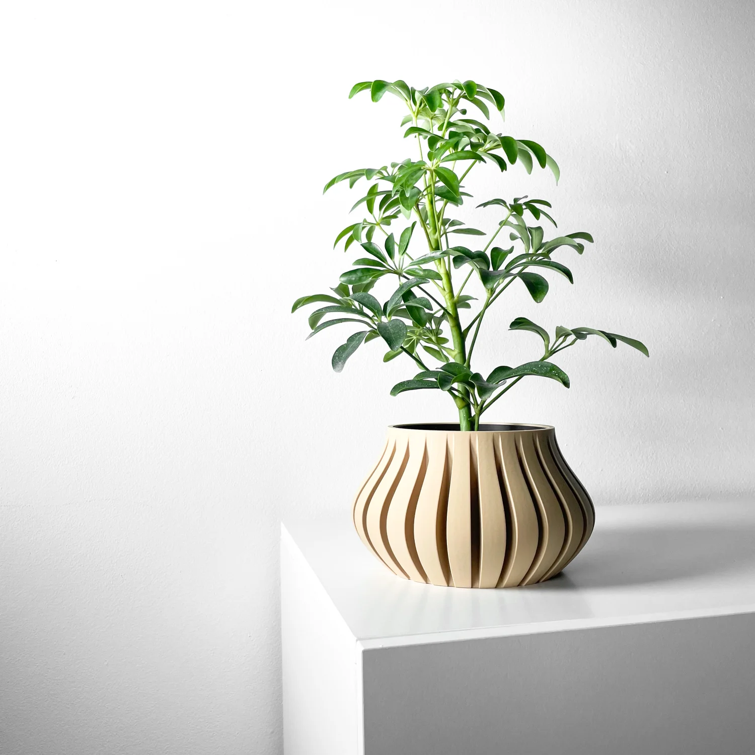 The Bror  Pot - Image 7