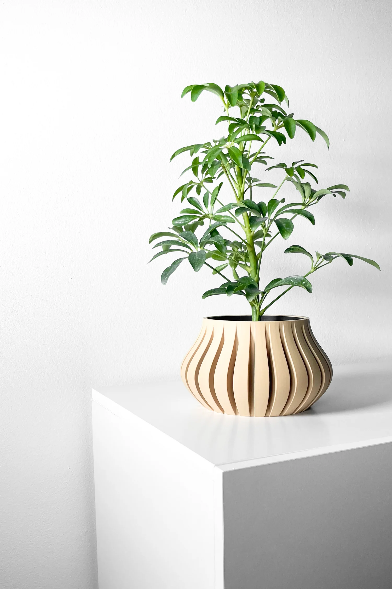 The Bror  Pot - Image 2