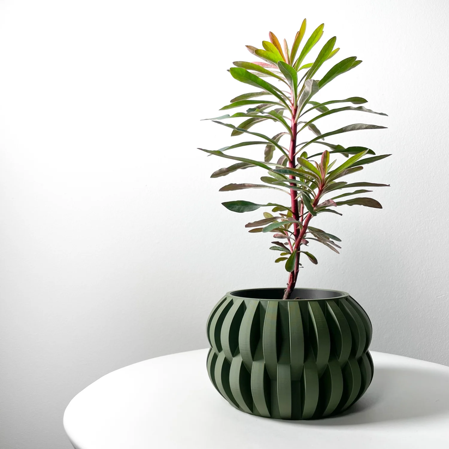 The Buckthorn Pot - Image 5