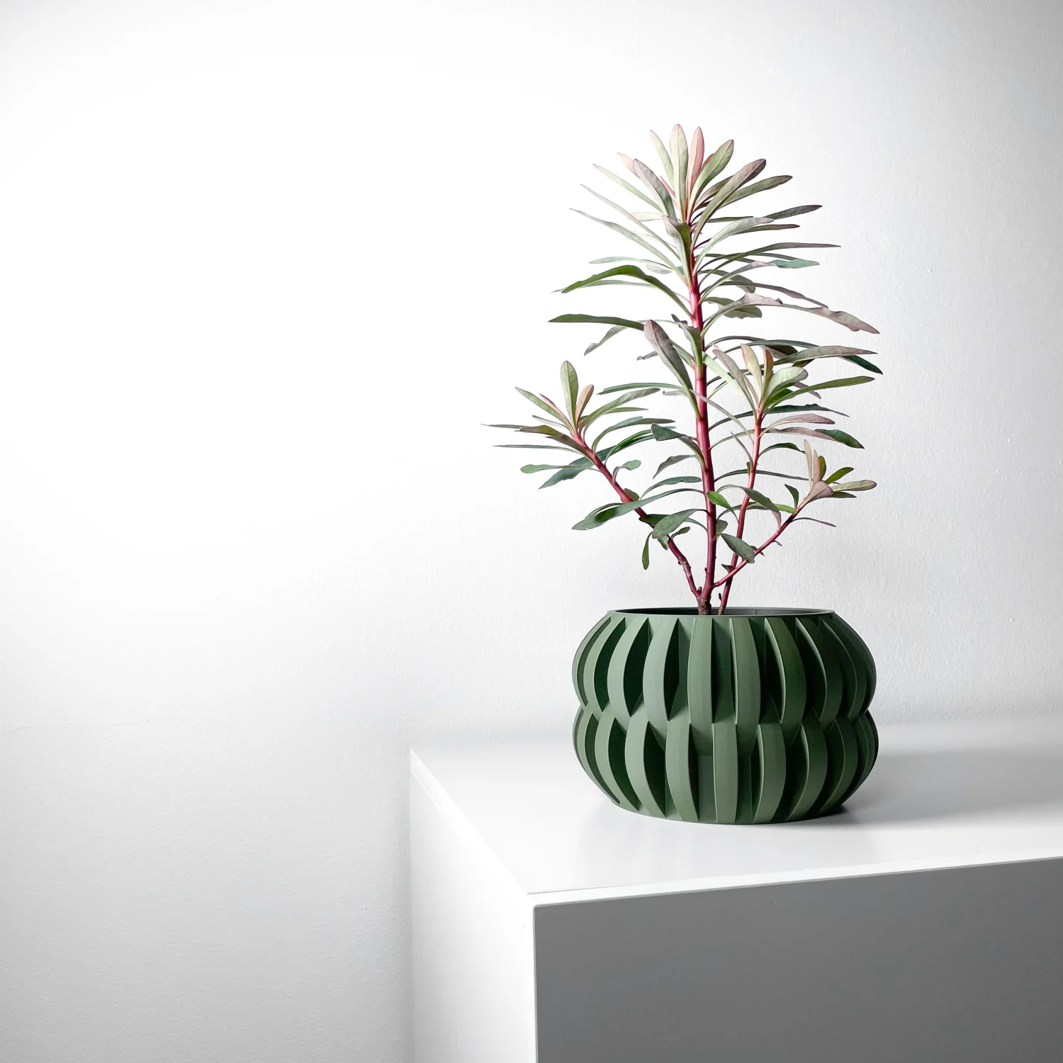 The Buckthorn Pot - Image 4