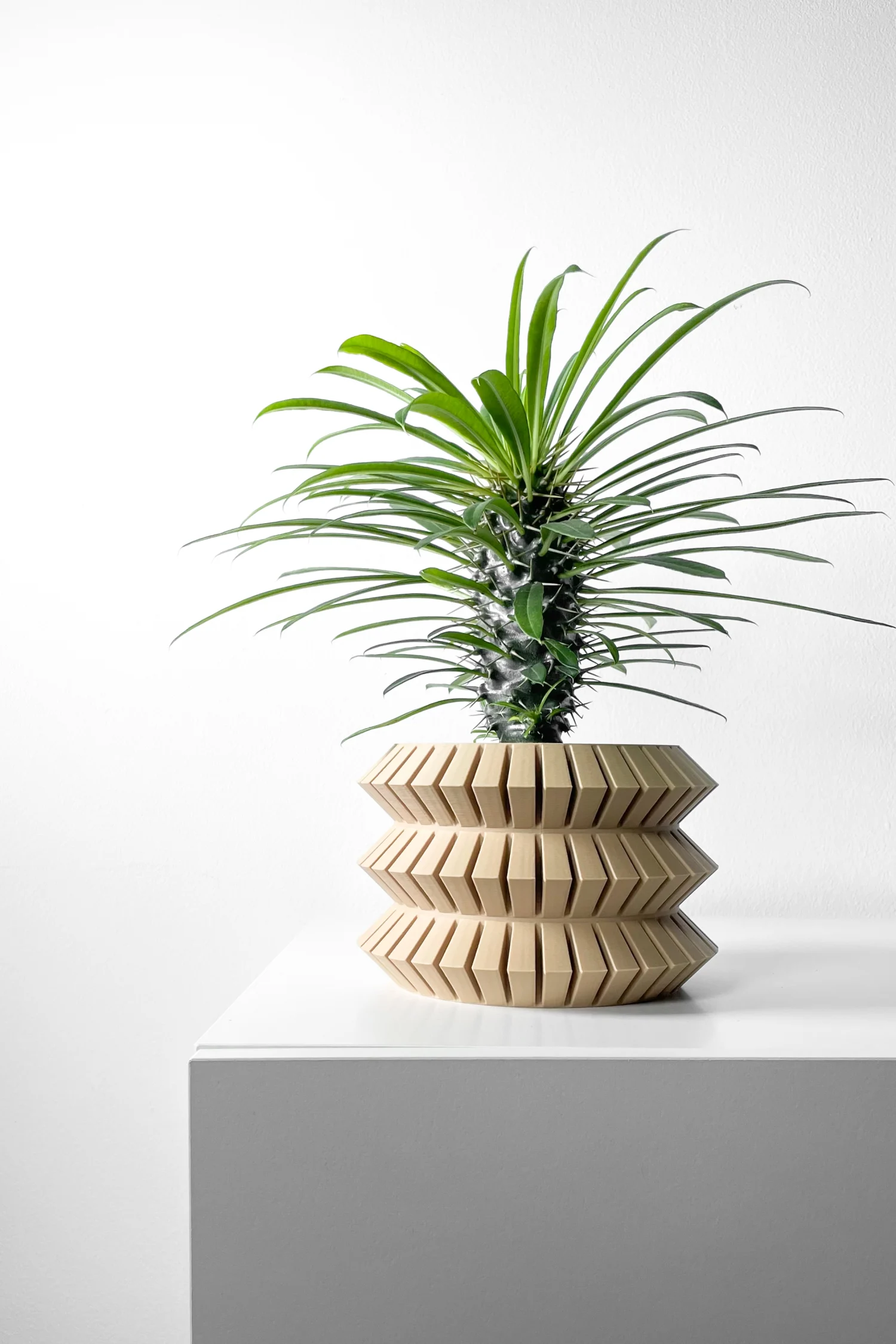 The Cairo  Pot - Image 5
