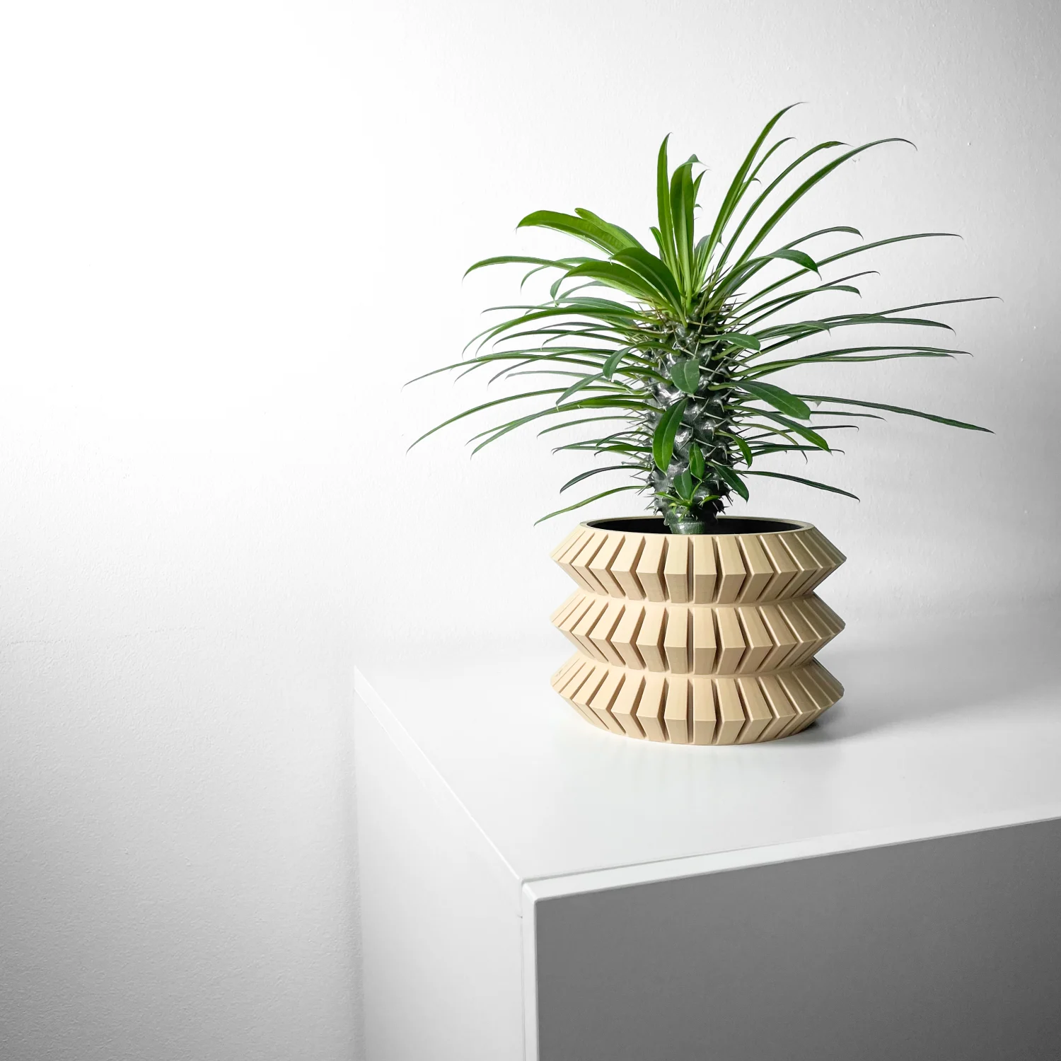 The Cairo  Pot - Image 6