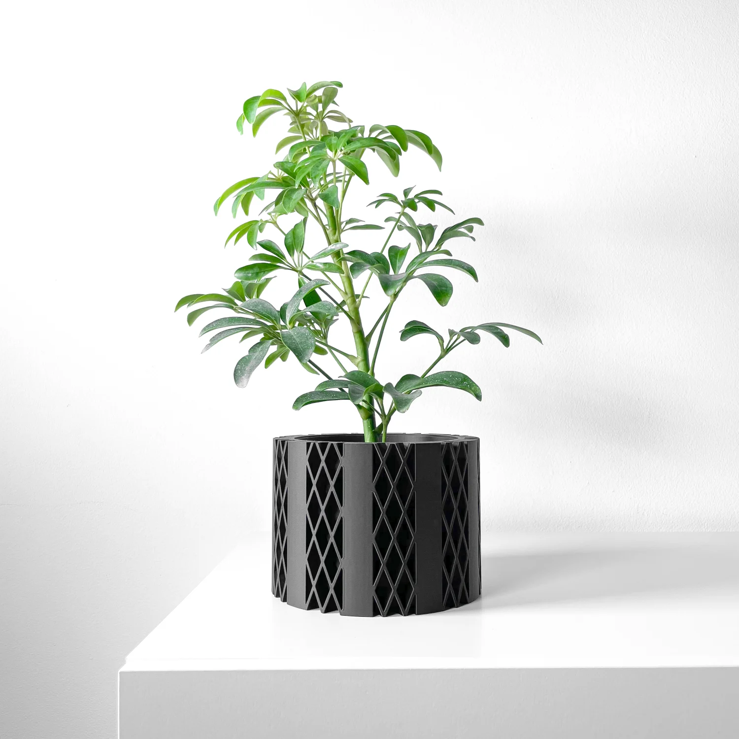 The Camellia  Pot - Image 8