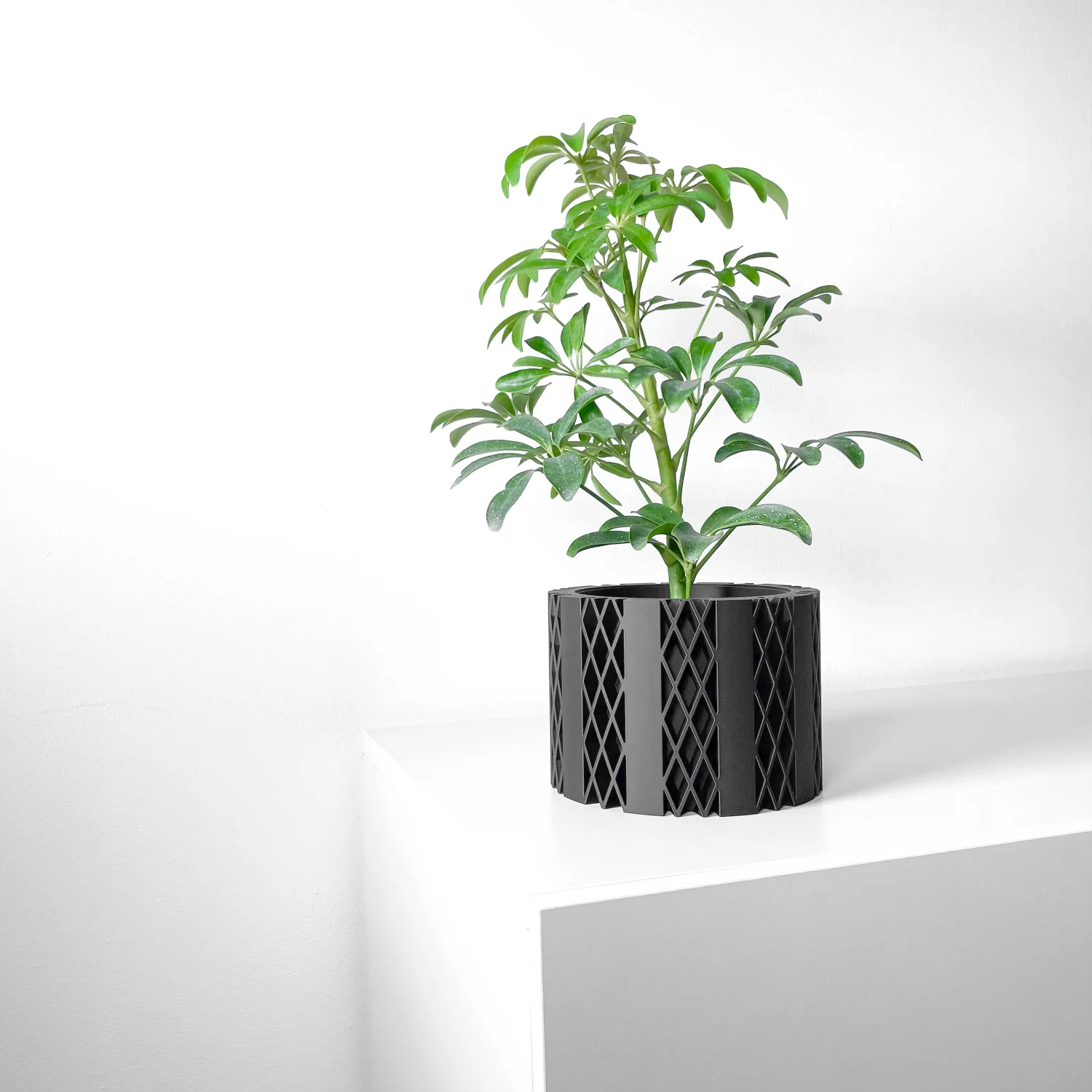 The Camellia  Pot - Image 7