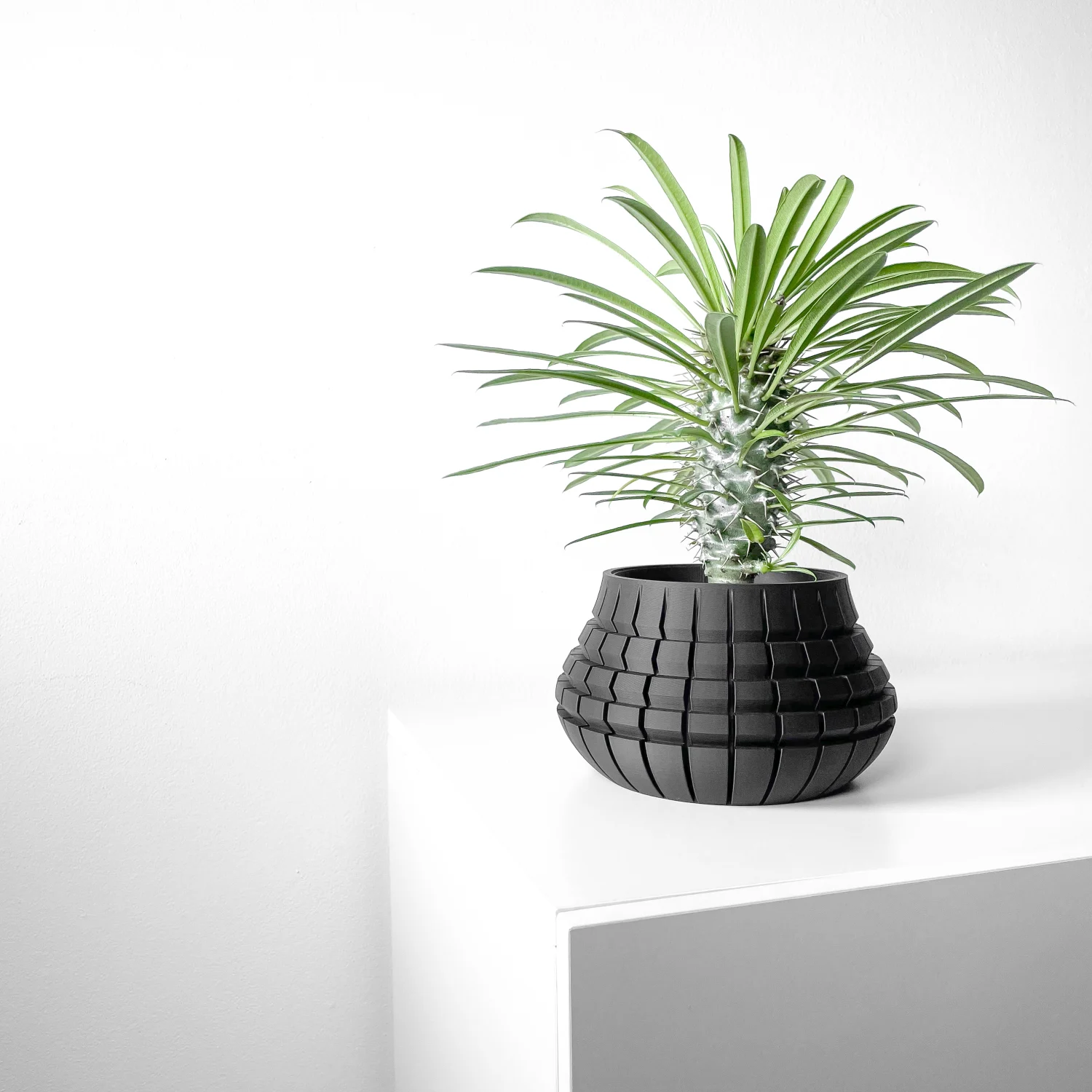 The Canopy  Pot - Image 5