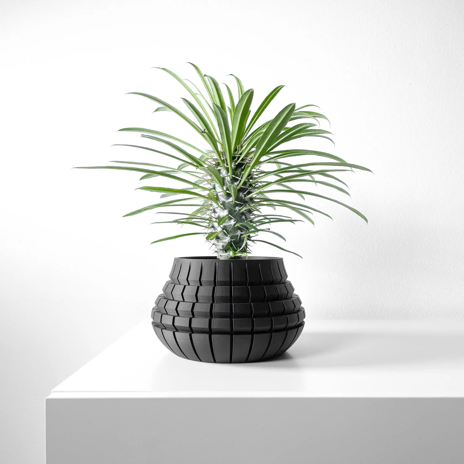The Canopy  Pot - Image 8