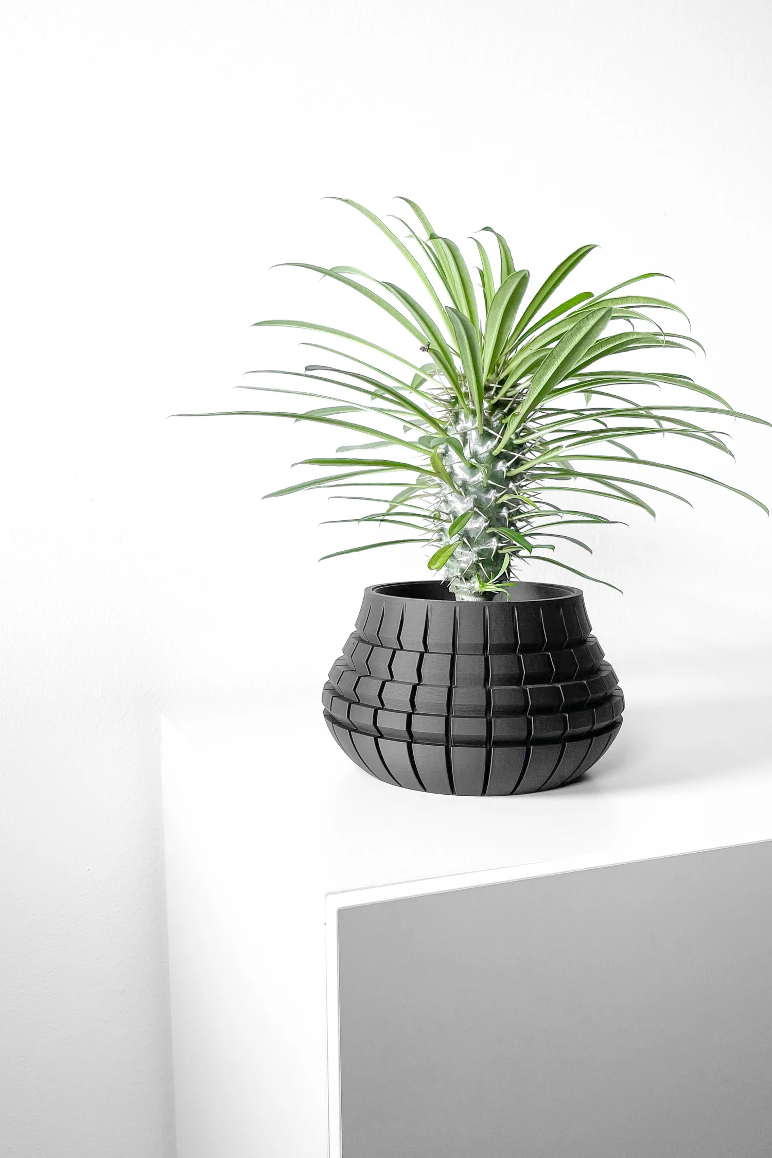 The Canopy  Pot - Image 7
