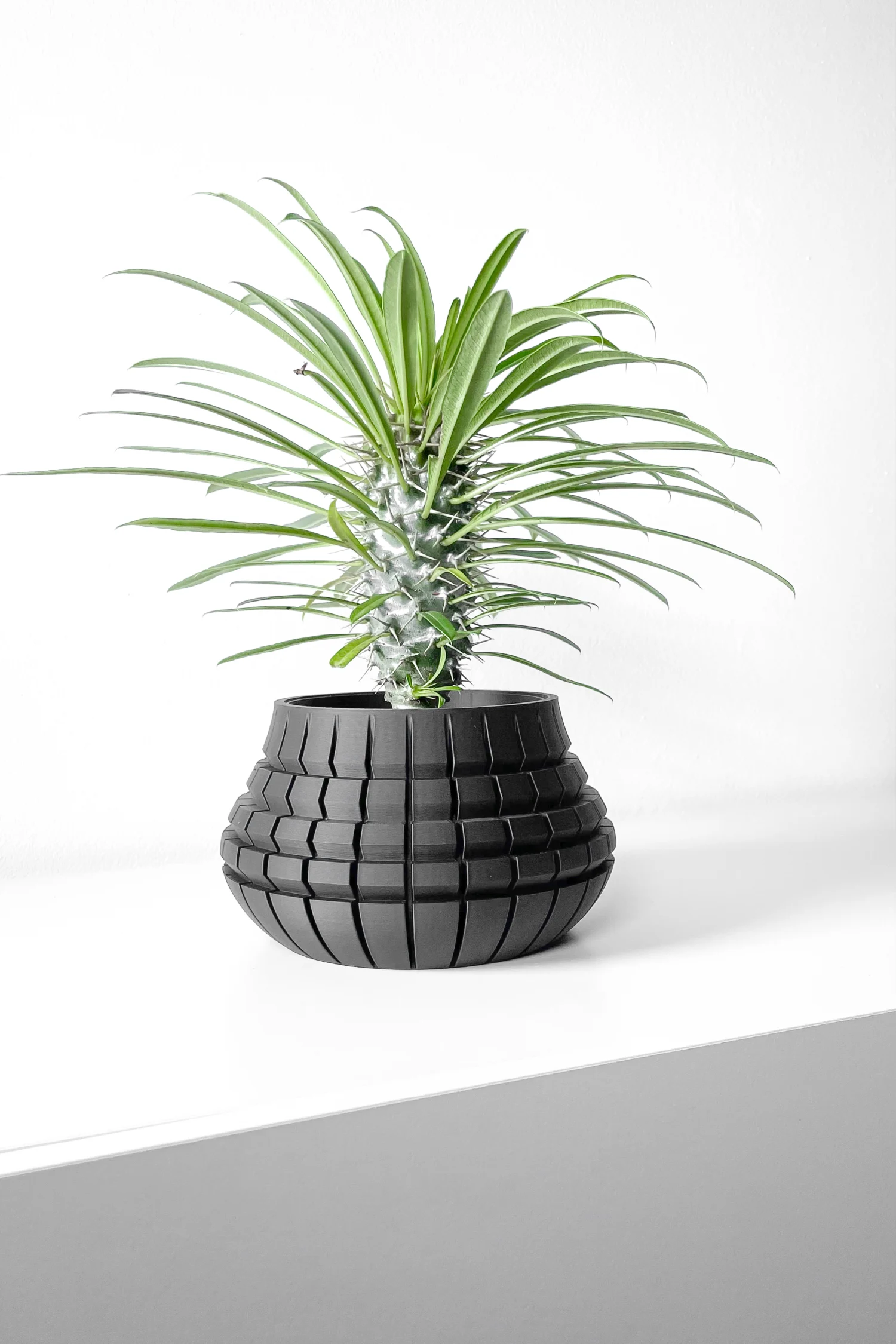 The Canopy  Pot - Image 6