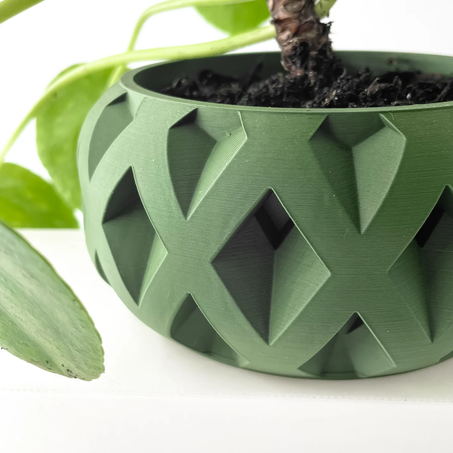 The Cerra  Pot - Image 4