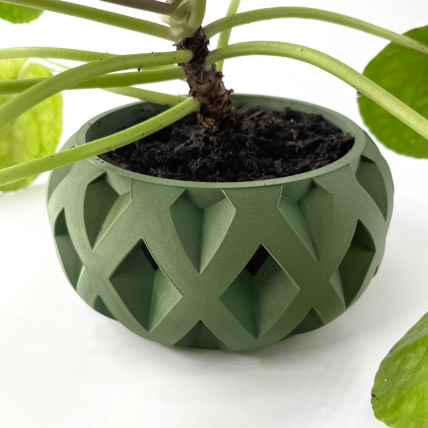 The Cerra  Pot - Image 5