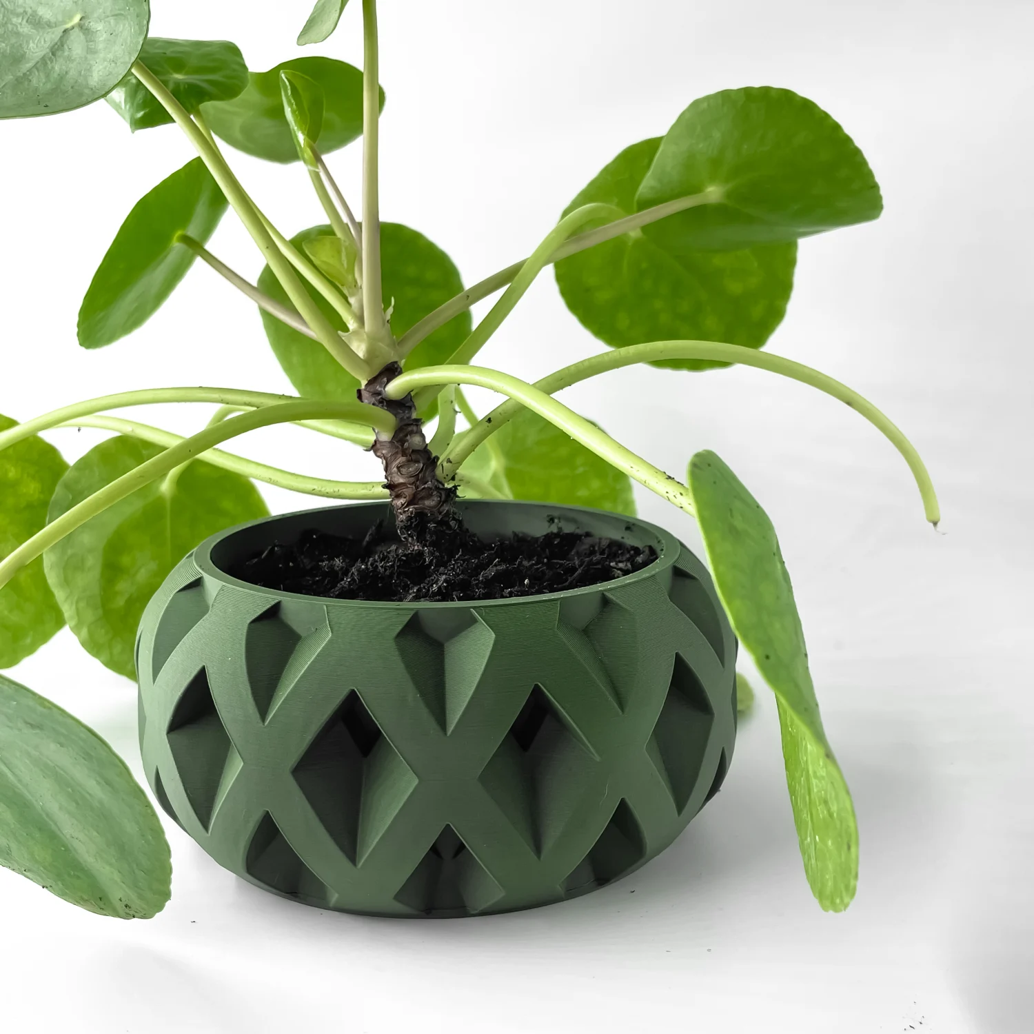 The Cerra  Pot - Image 3