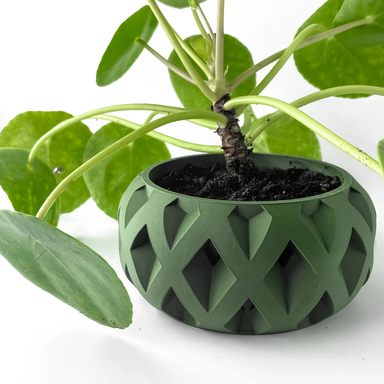 The Cerra  Pot - Image 2