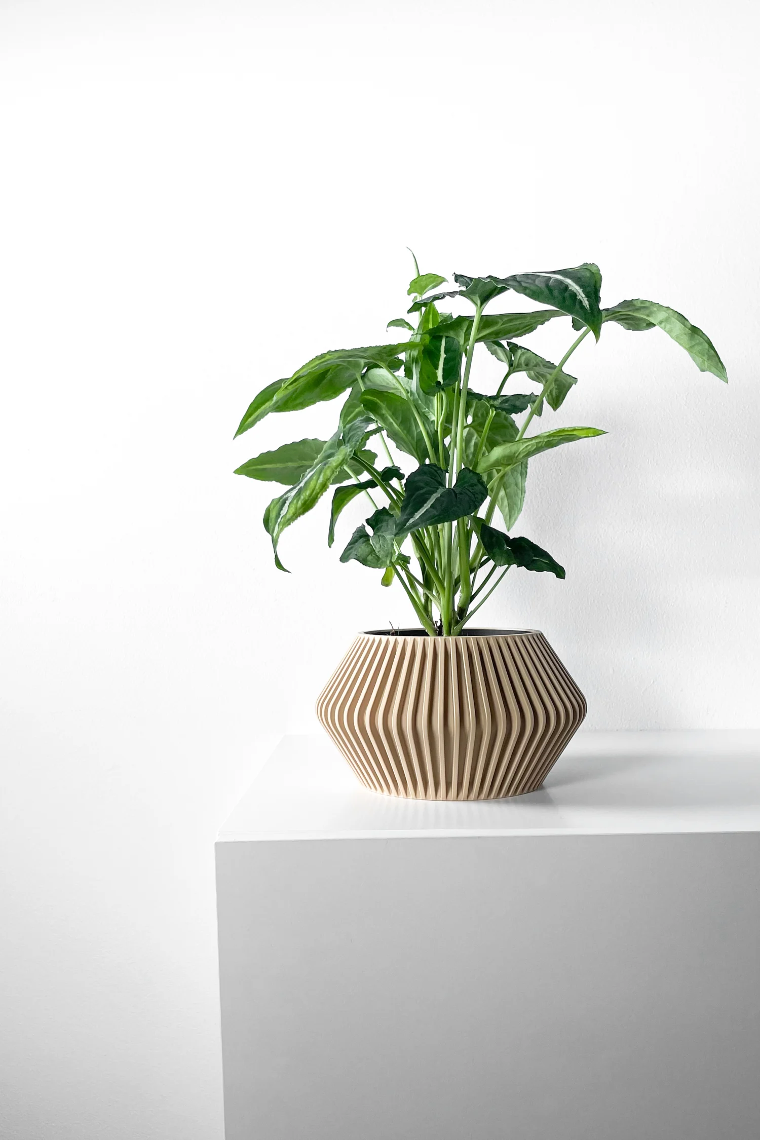 The Corra  Pot - Image 7