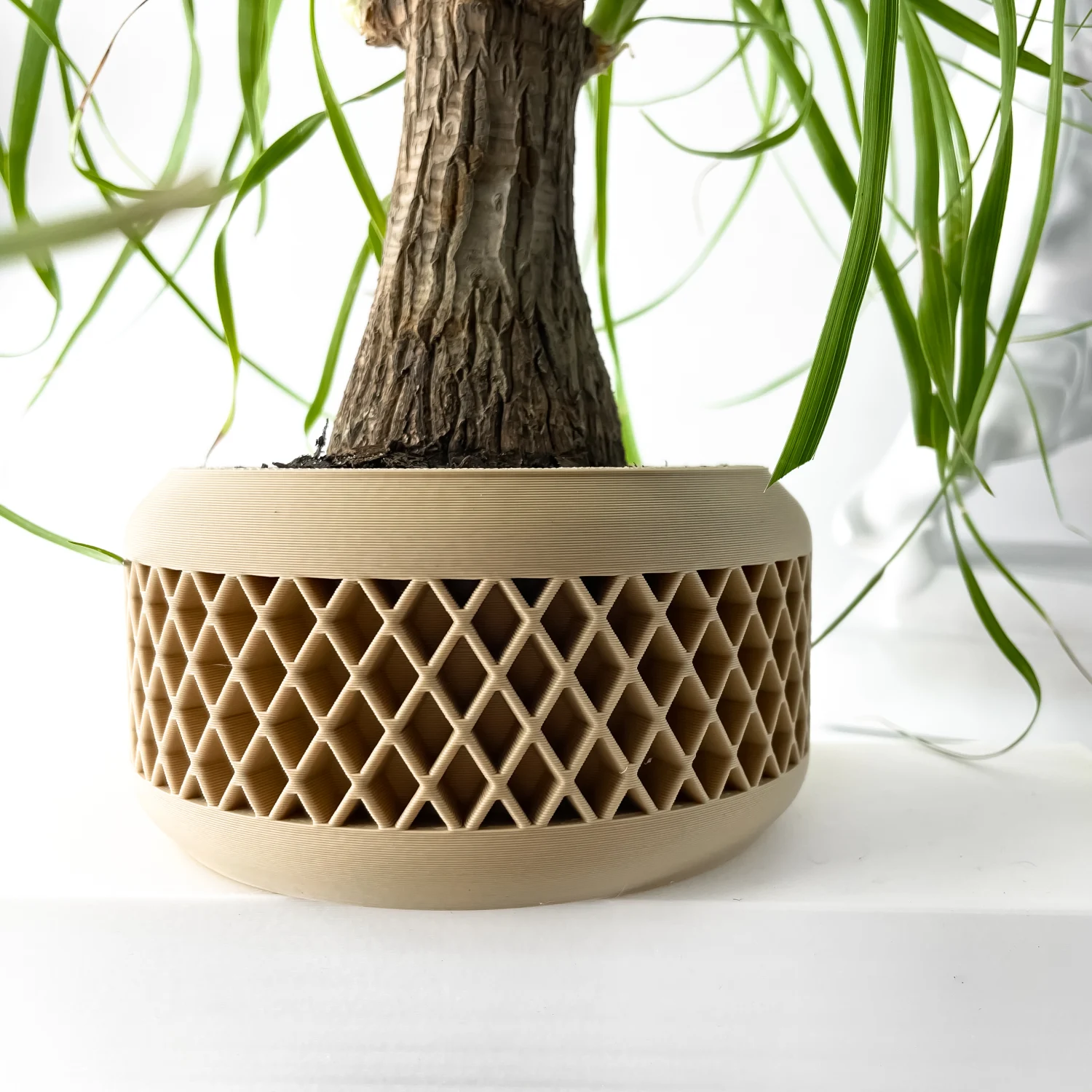 The Corvix Pot - Image 7