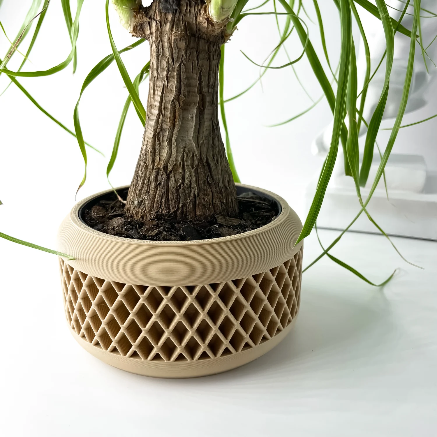 The Corvix Pot - Image 2