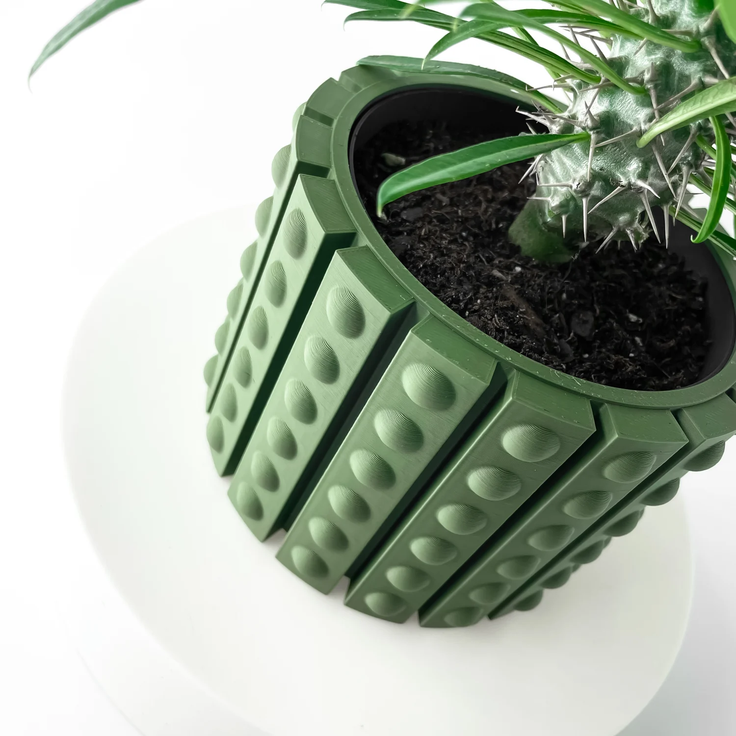 The Cyrus Pot - Image 7