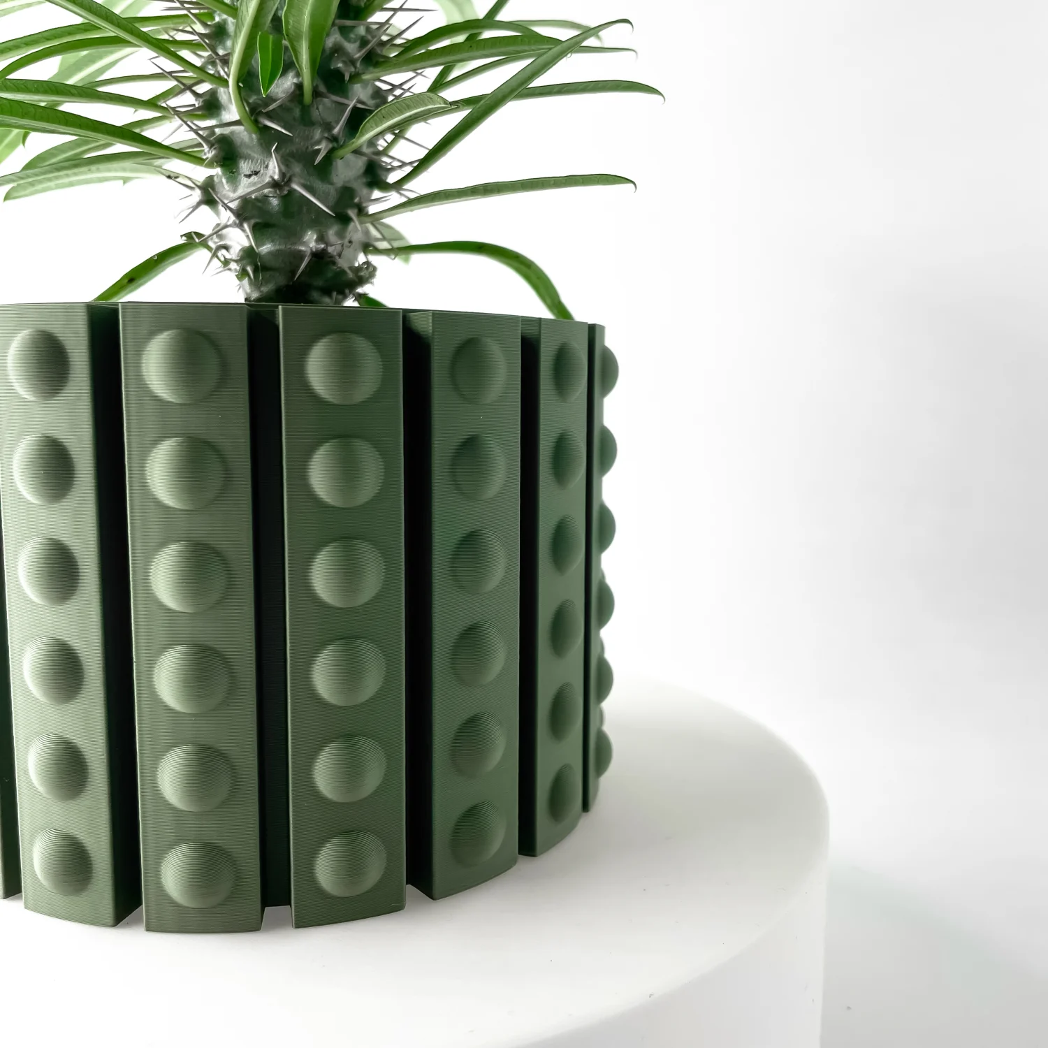 The Cyrus Pot - Image 6