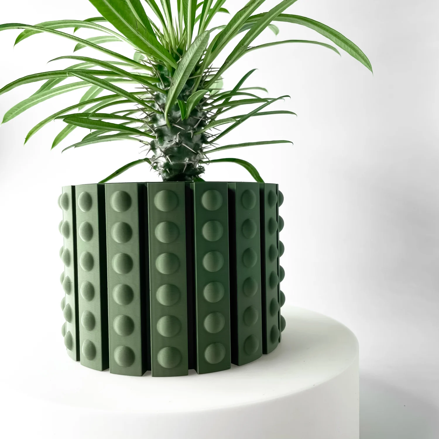 The Cyrus Pot - Image 5