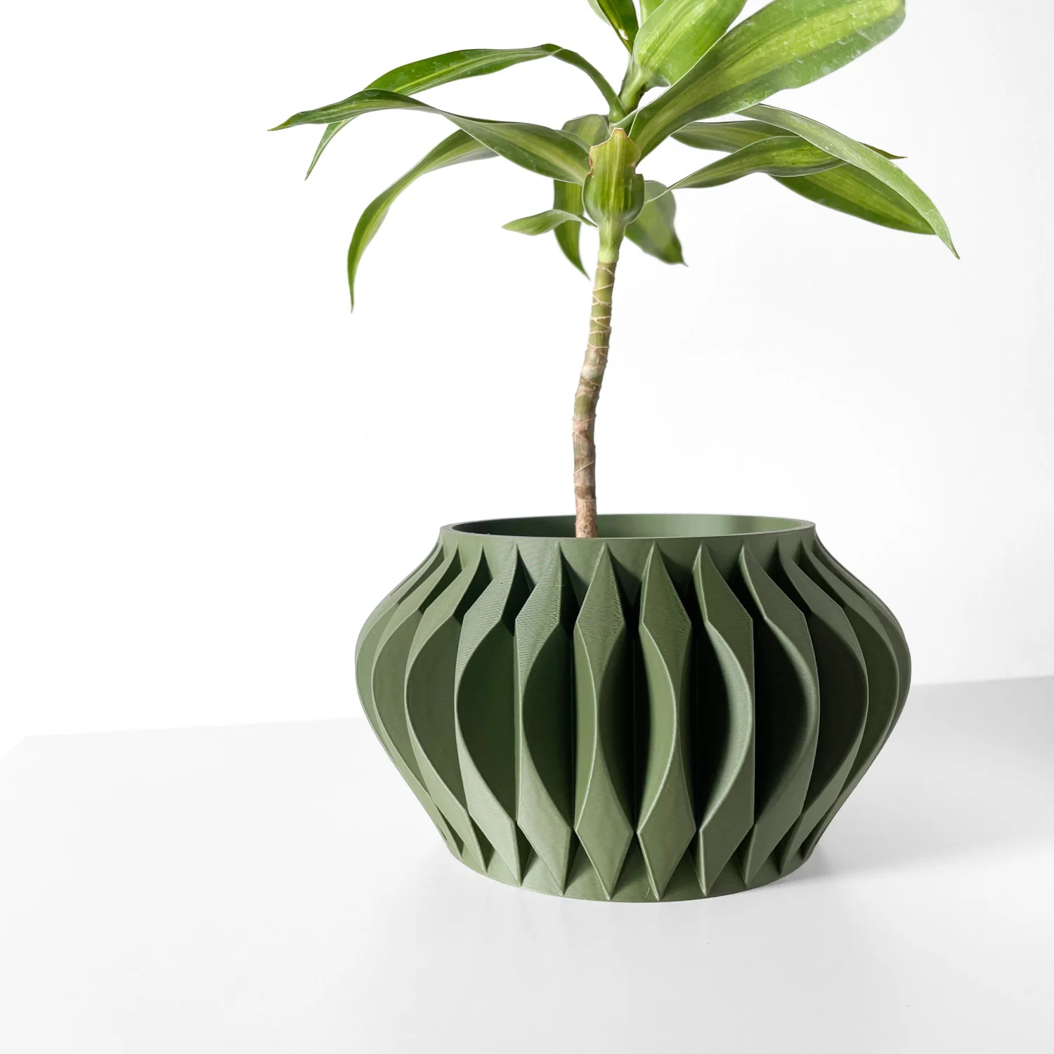 The Delvion  Pot - Image 2