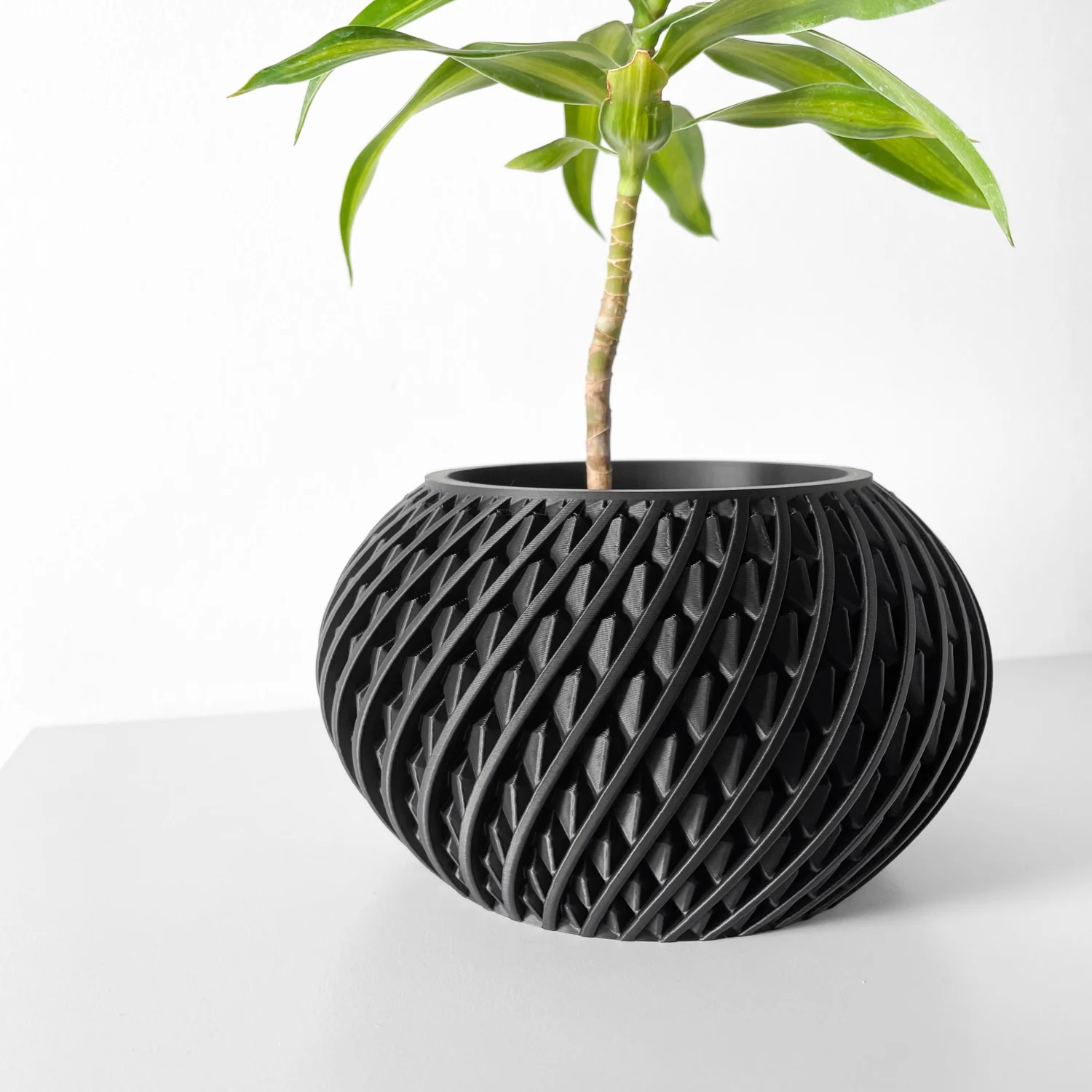 The Delvor  Pot - Image 2