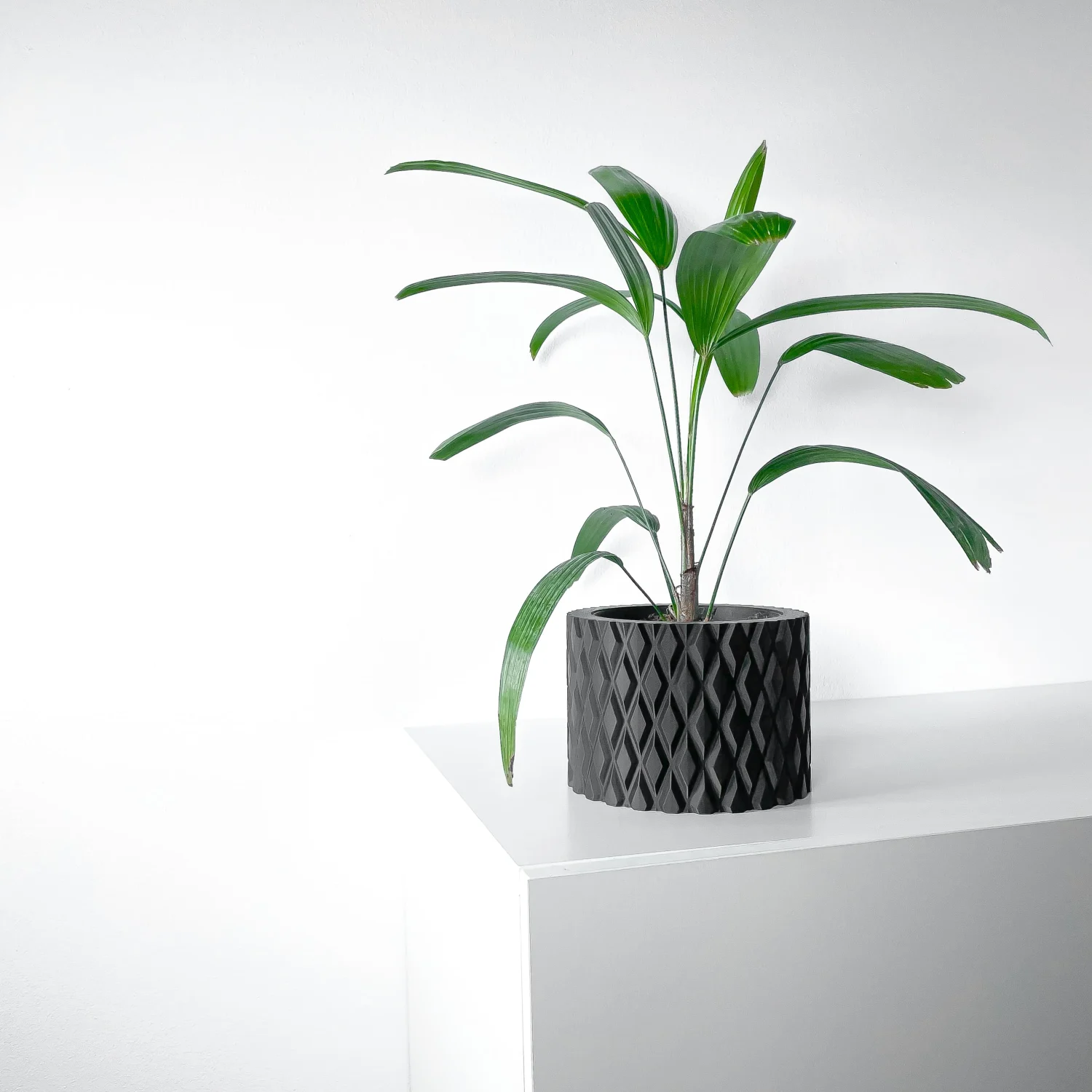 The Dorin Pot - Image 2