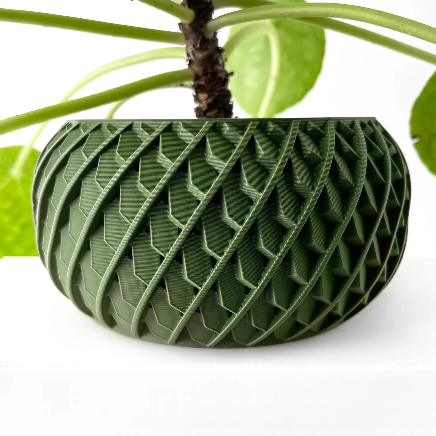 The Eero Pot - Image 2