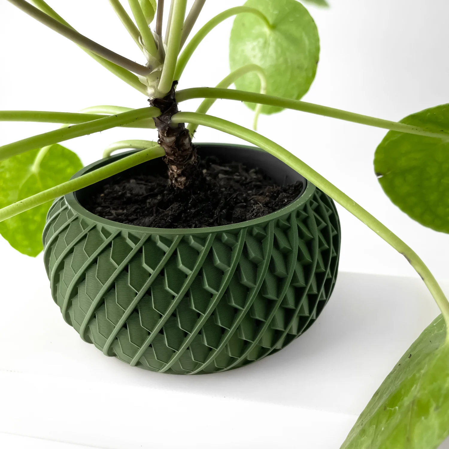 The Eero Pot - Image 3