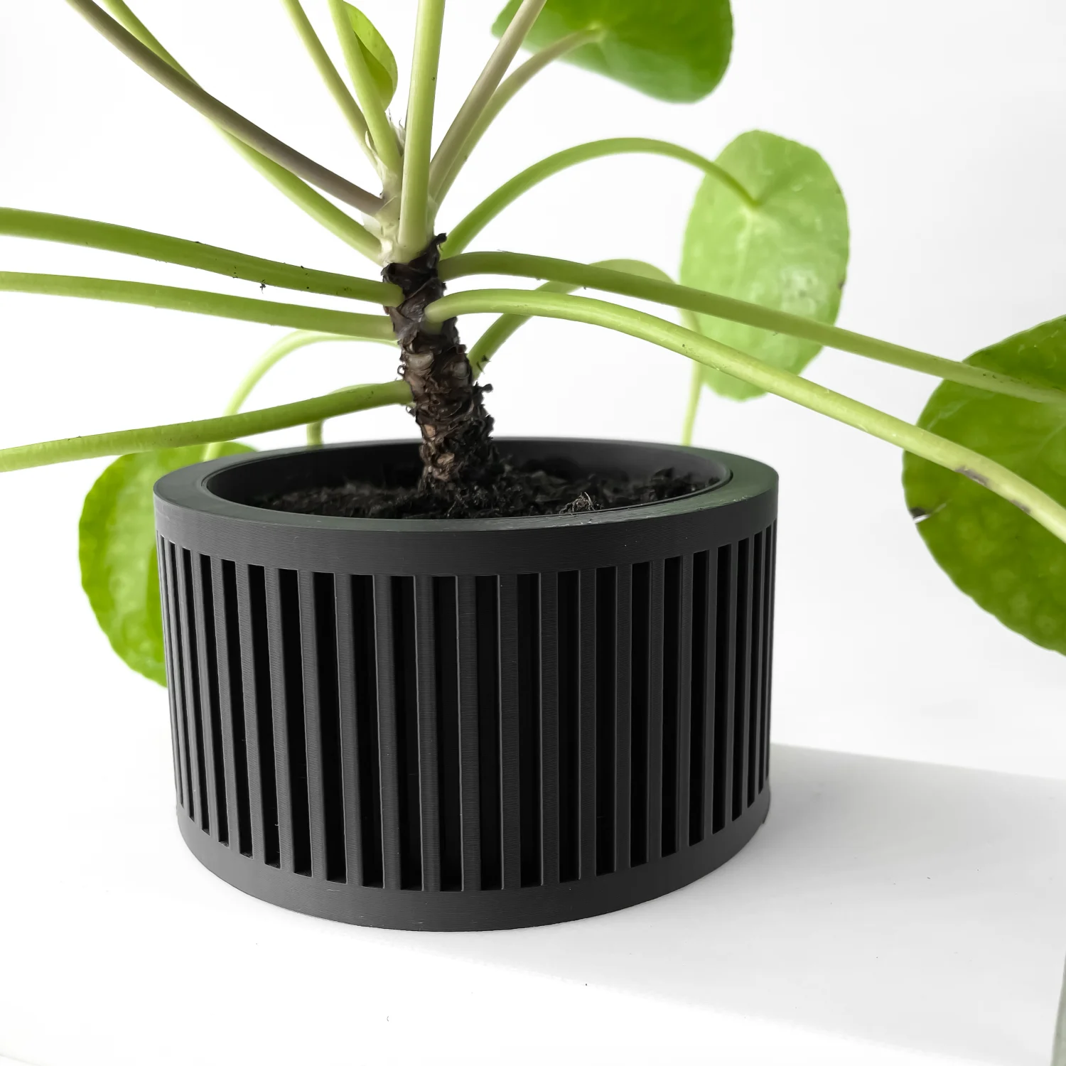 The Elodie Pot - Image 2