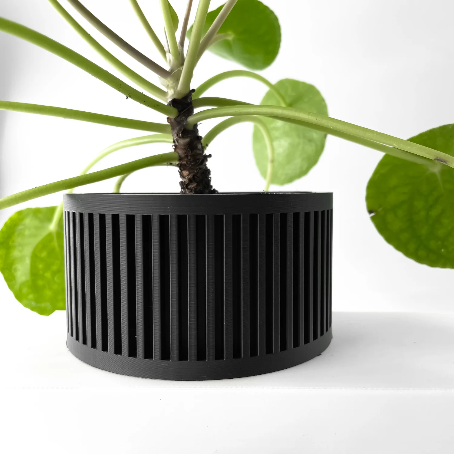 The Elodie Pot - Image 4