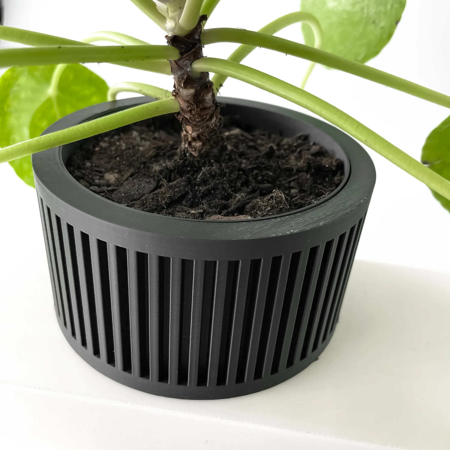 The Elodie Pot - Image 3
