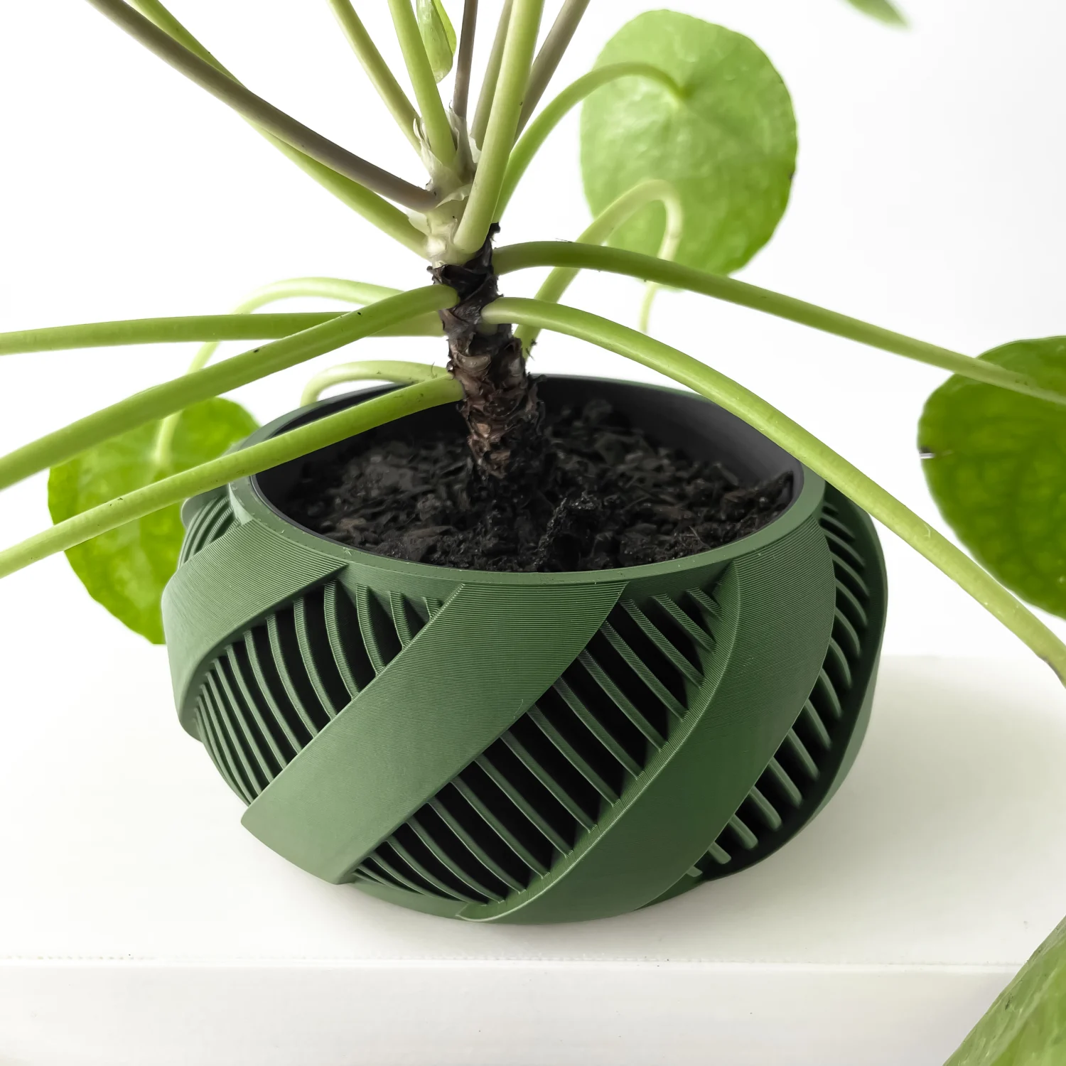 The Elvar Pot - Image 5