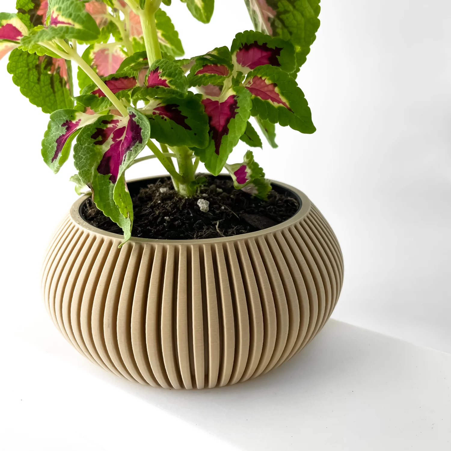 The Elvion Pot - Image 6