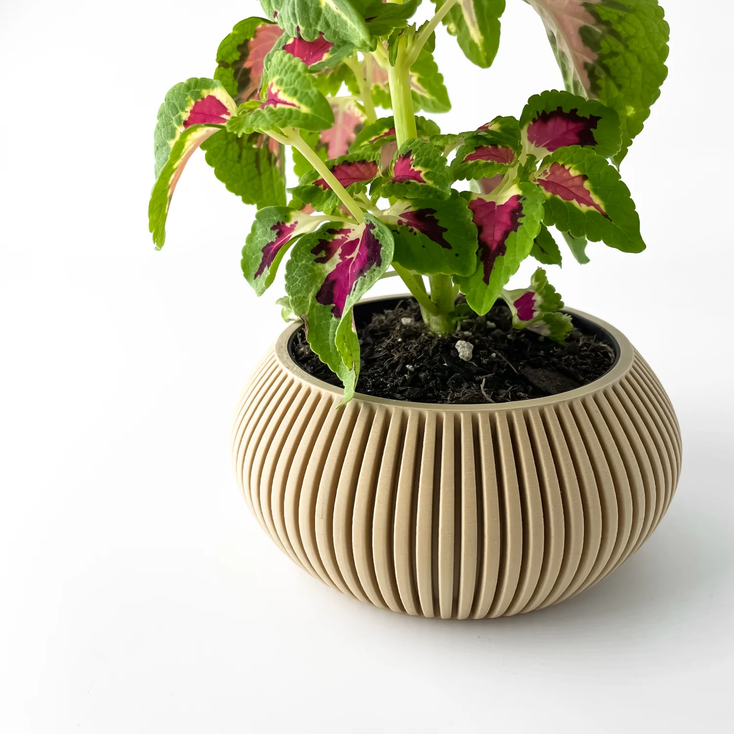 The Elvion Pot - Image 5
